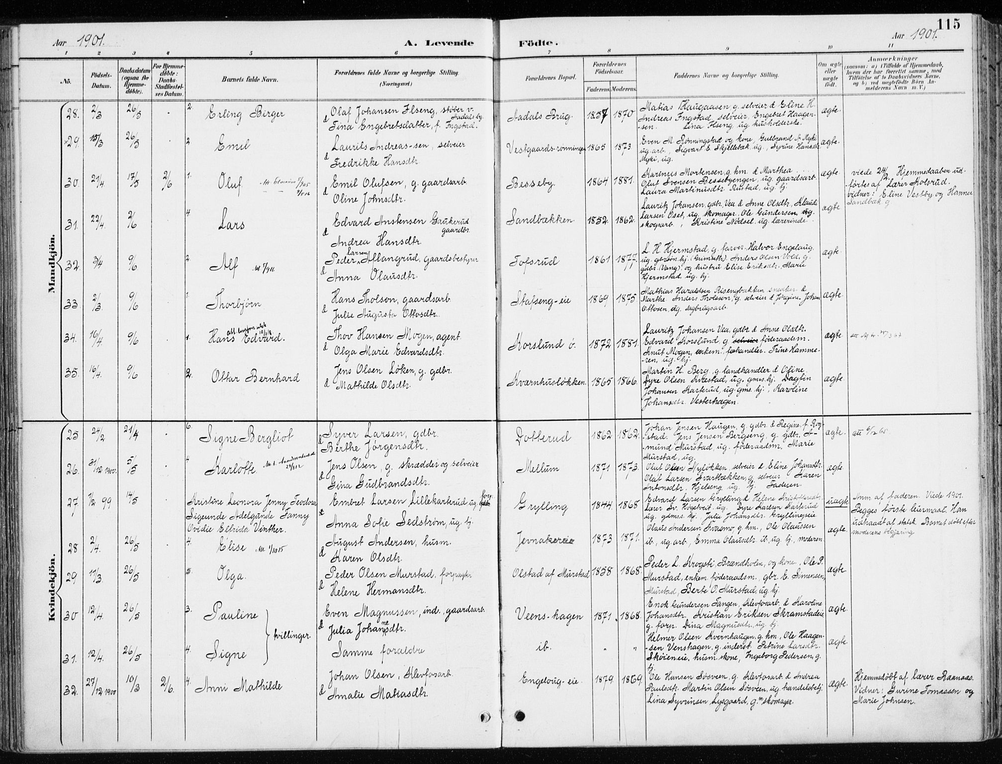 Løten prestekontor, AV/SAH-PREST-022/K/Ka/L0010: Parish register (official) no. 10, 1892-1907, p. 115