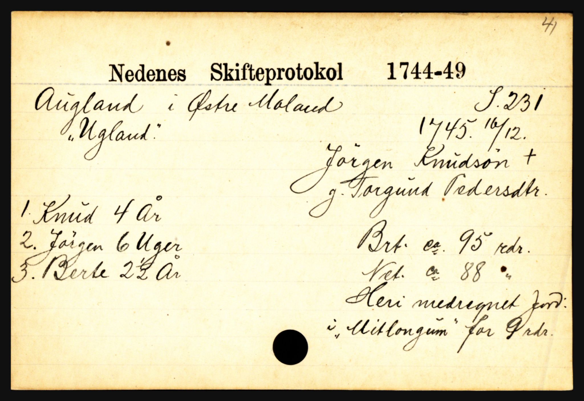 Nedenes sorenskriveri før 1824, AV/SAK-1221-0007/H, p. 1419