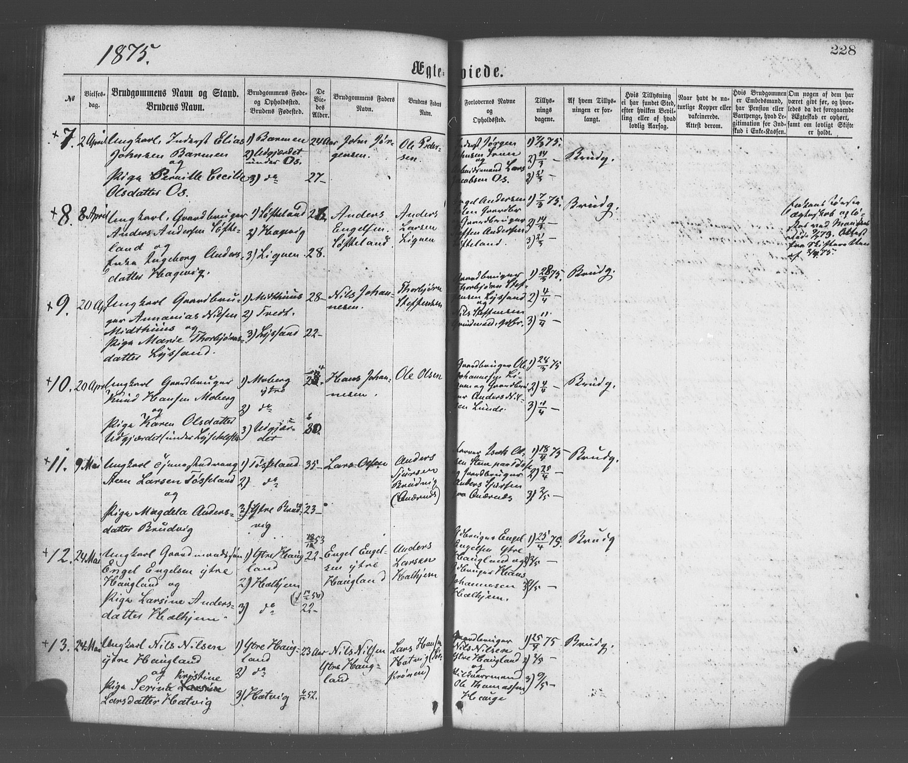 Os sokneprestembete, SAB/A-99929: Parish register (official) no. A 18, 1874-1884, p. 228