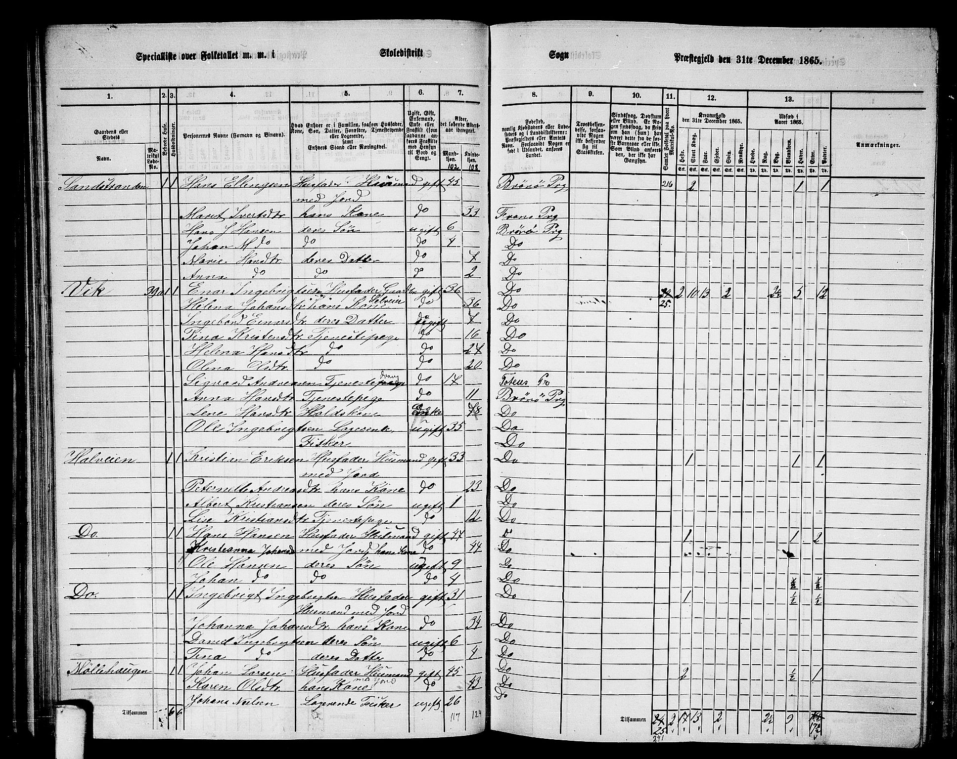 RA, 1865 census for Brønnøy, 1865, p. 63