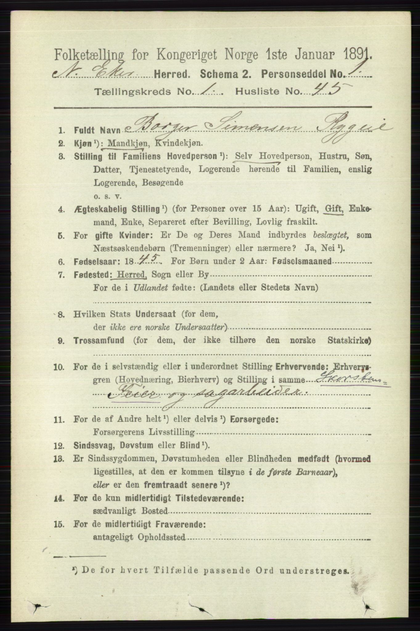 RA, 1891 census for 0625 Nedre Eiker, 1891, p. 325