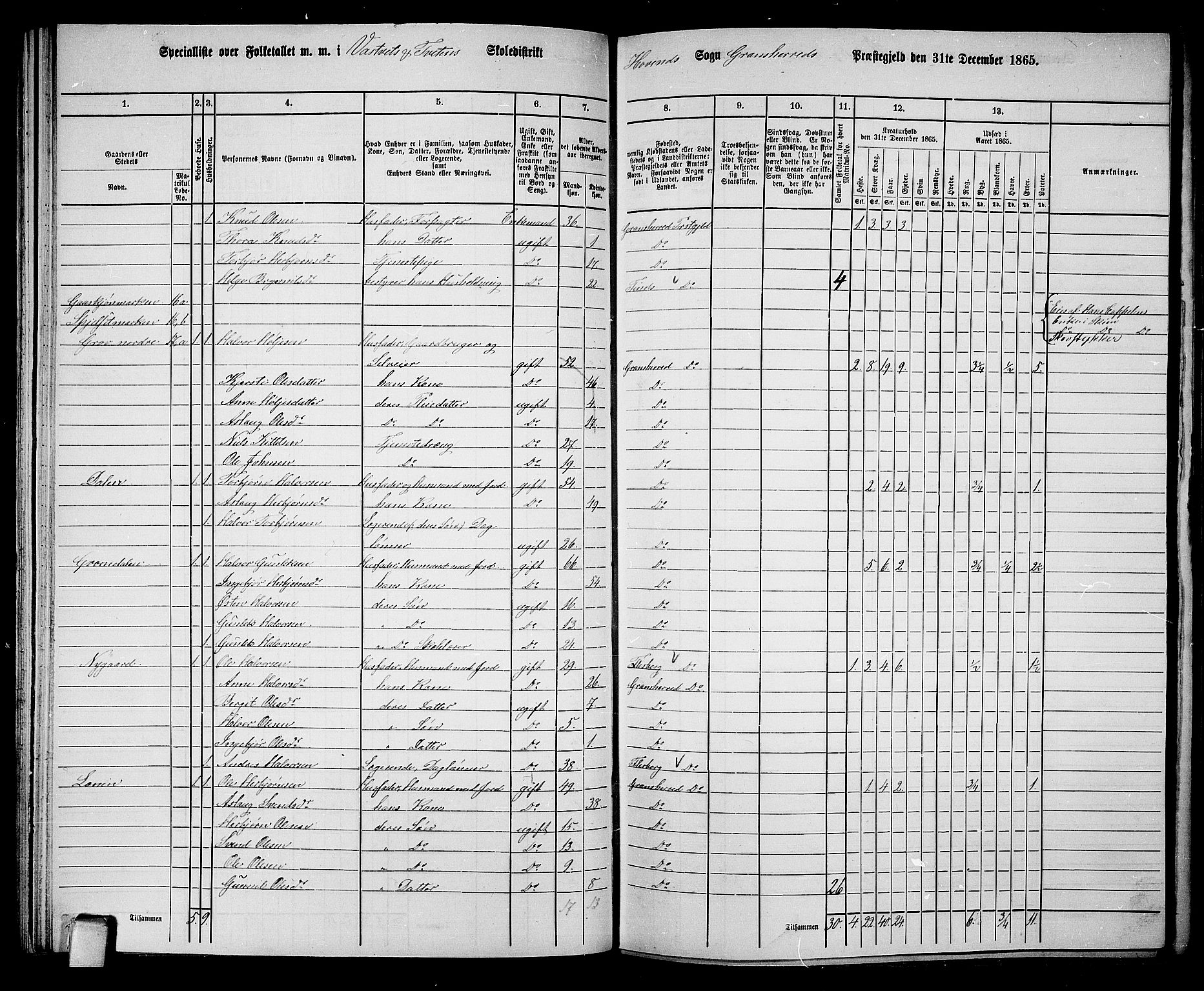 RA, 1865 census for Gransherad, 1865, p. 72