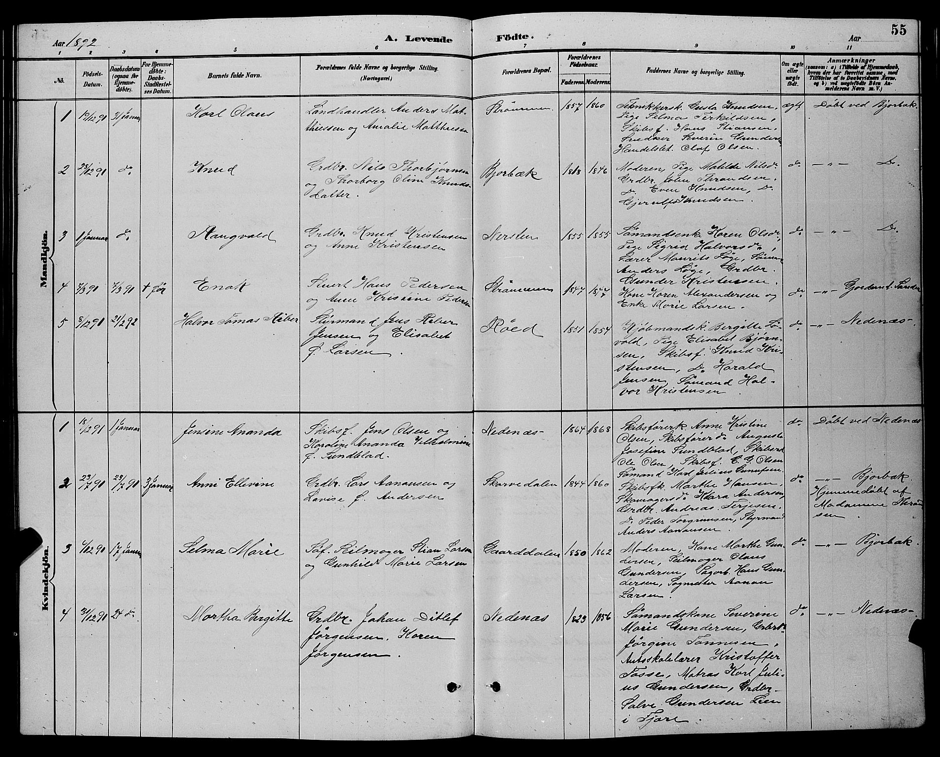 Øyestad sokneprestkontor, AV/SAK-1111-0049/F/Fb/L0009: Parish register (copy) no. B 9, 1886-1896, p. 55