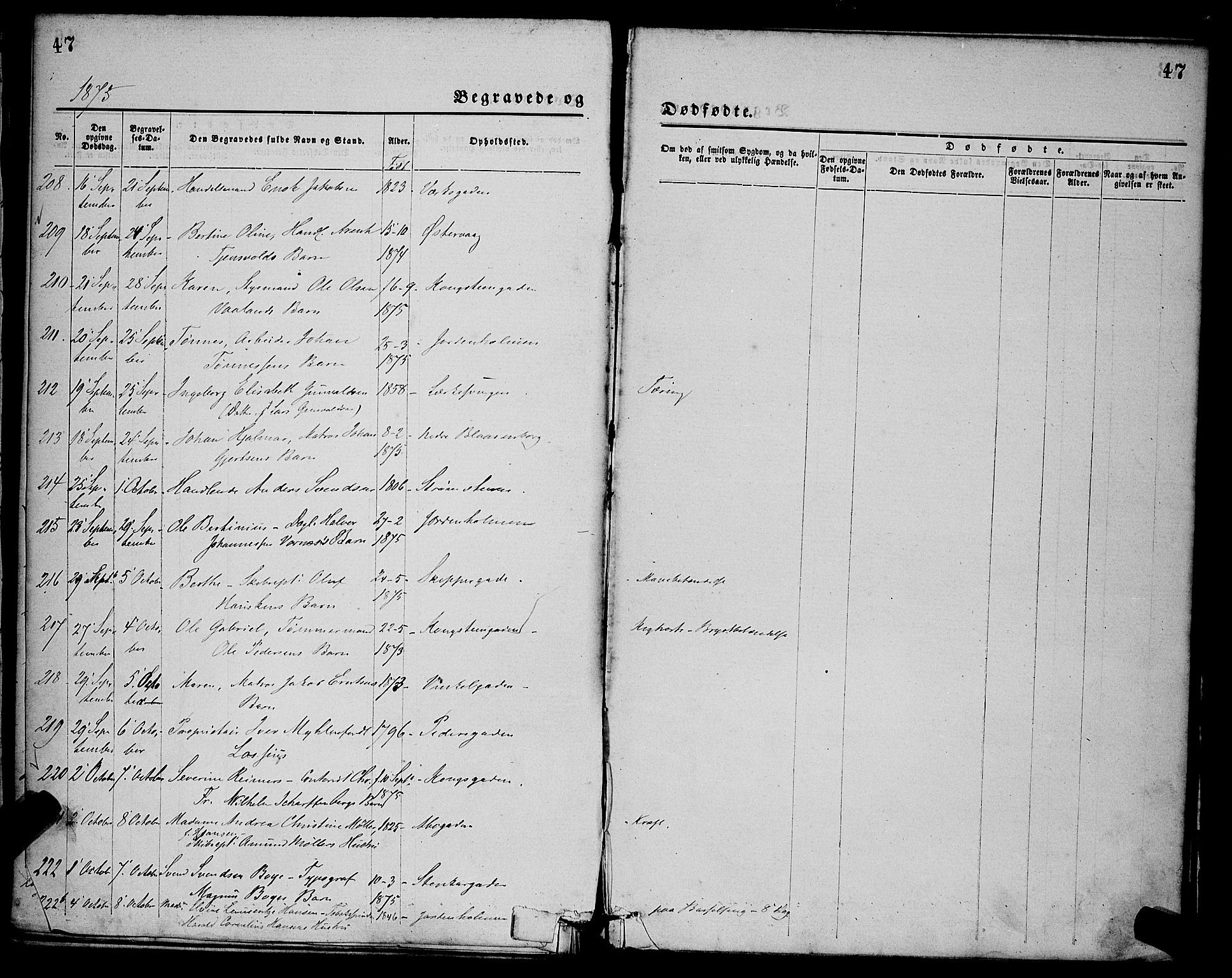 St. Petri sokneprestkontor, SAST/A-101813/001/30/30BA/L0012: Parish register (official) no. A 12, 1873-1878, p. 47