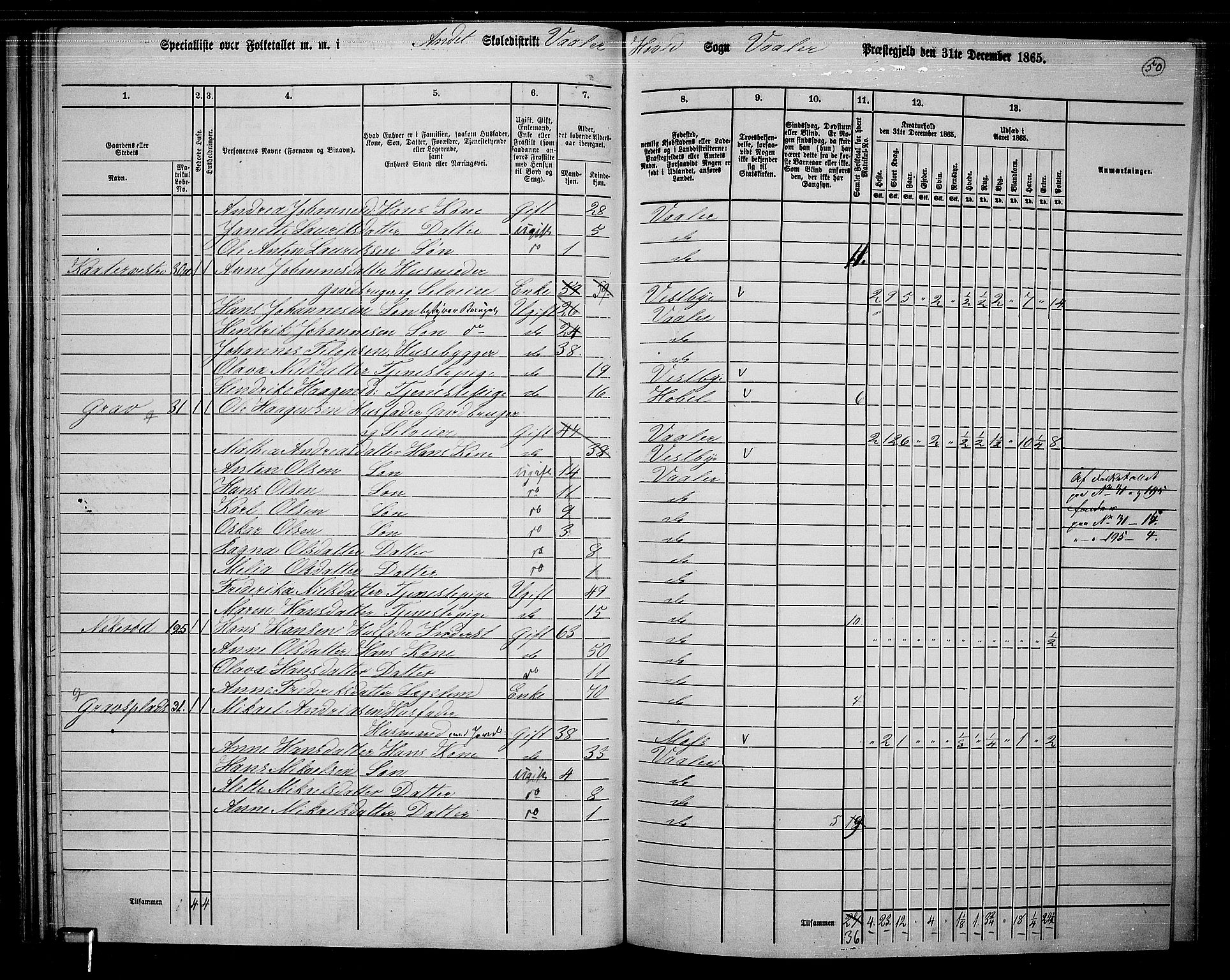 RA, 1865 census for Våler, 1865, p. 47