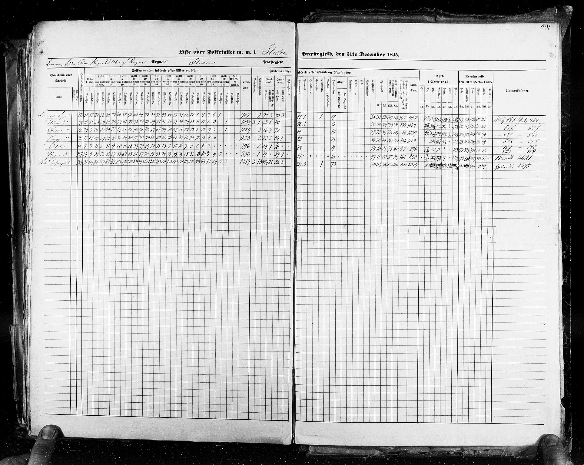 RA, Census 1845, vol. 3: Hedemarken amt og Kristians amt, 1845, p. 531