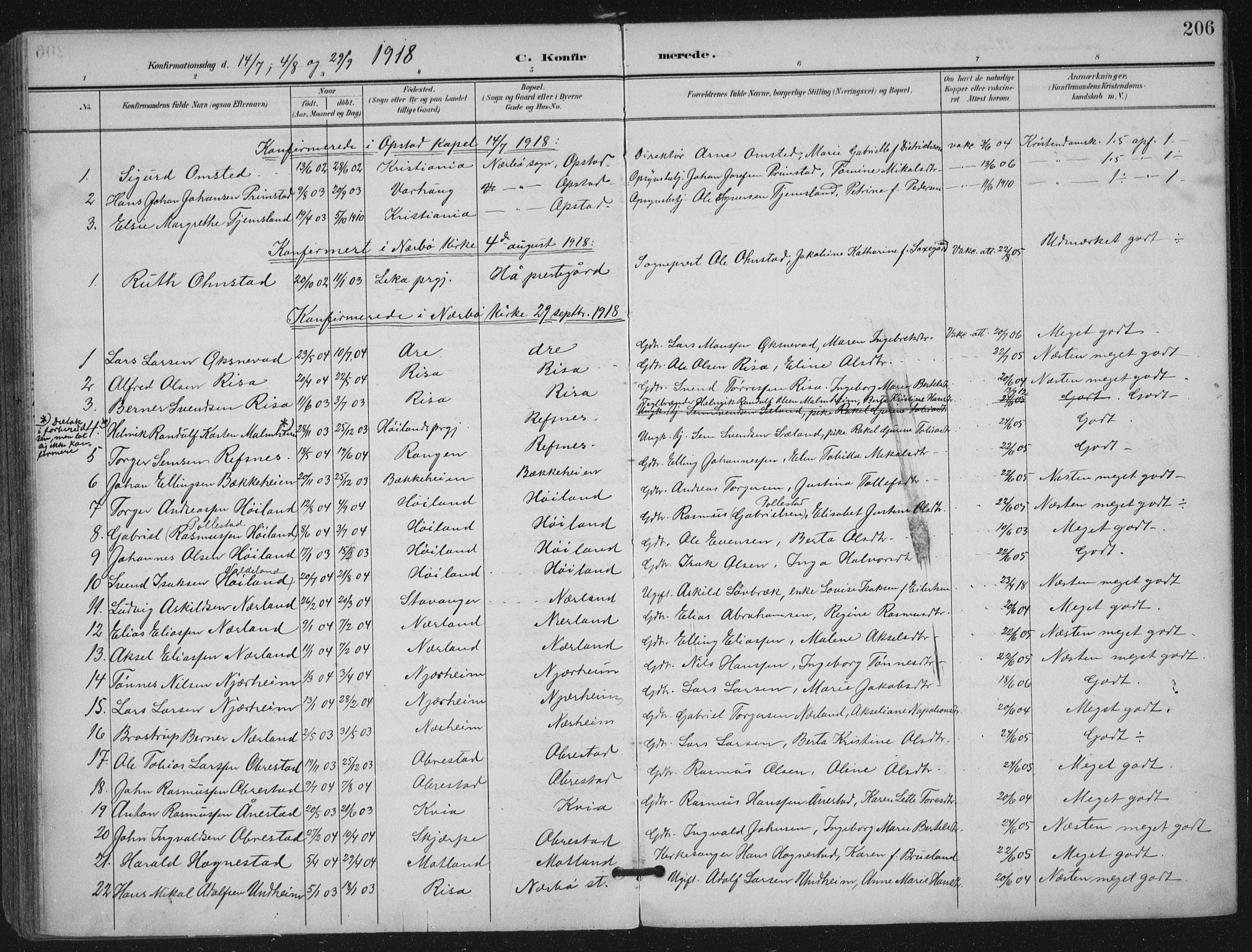 Hå sokneprestkontor, SAST/A-101801/002/B/L0001: Parish register (official) no. A 11, 1897-1924, p. 206