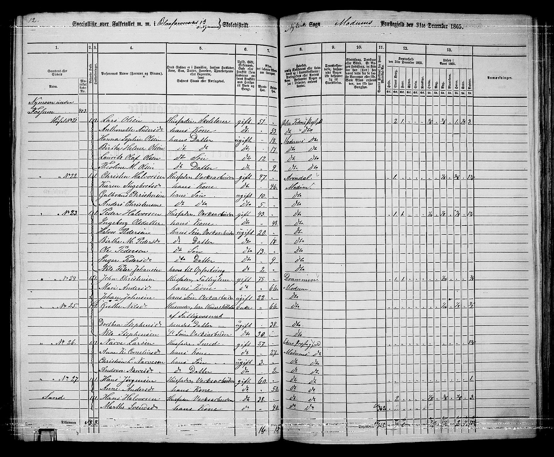 RA, 1865 census for Modum, 1865, p. 239