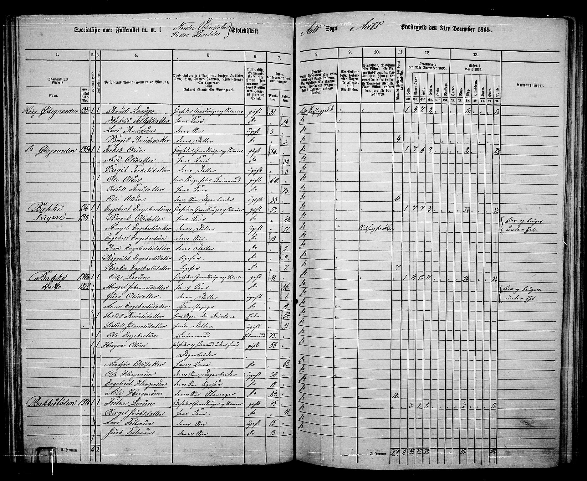 RA, 1865 census for Ål, 1865, p. 93