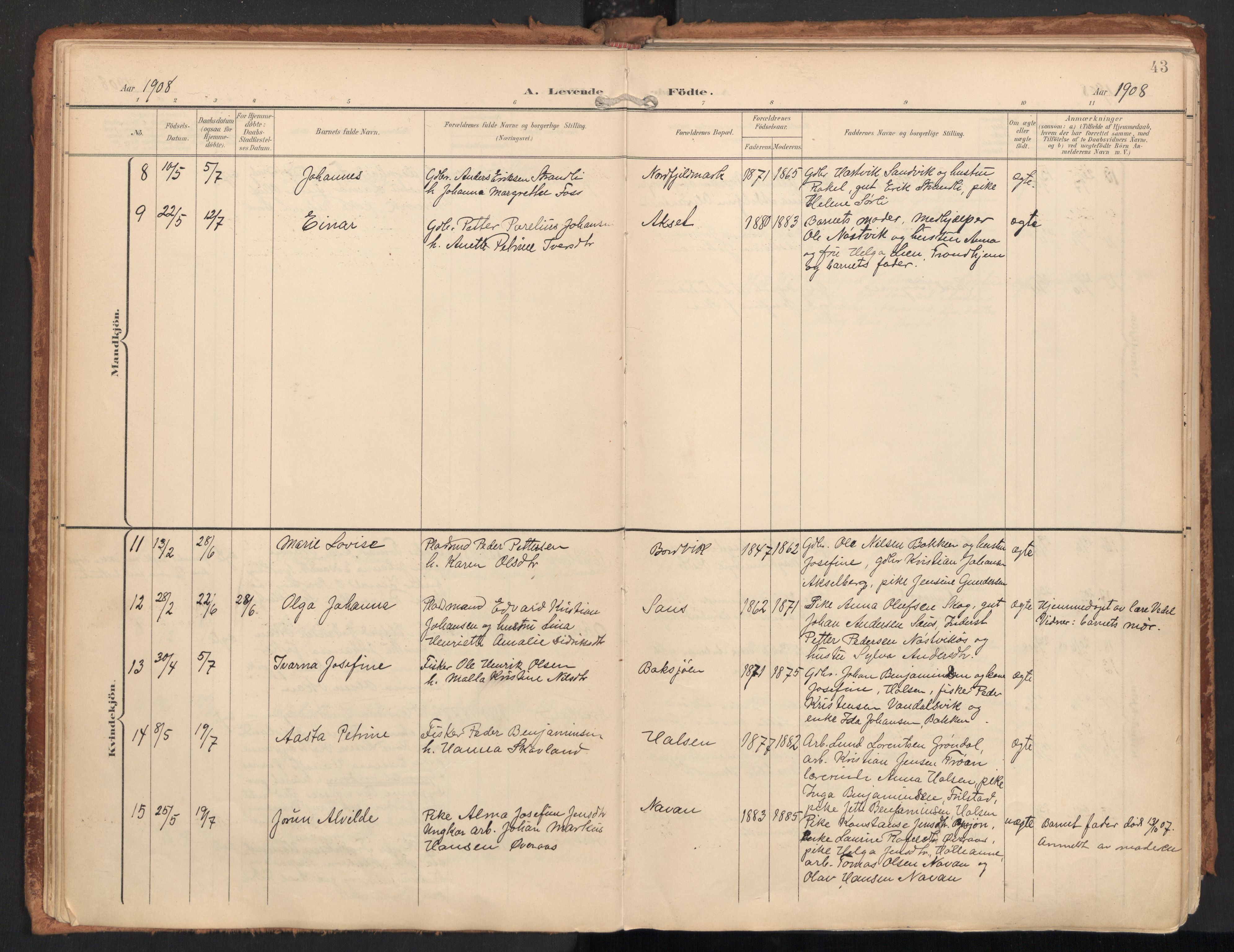 Ministerialprotokoller, klokkerbøker og fødselsregistre - Nordland, AV/SAT-A-1459/814/L0227: Parish register (official) no. 814A08, 1899-1920, p. 43