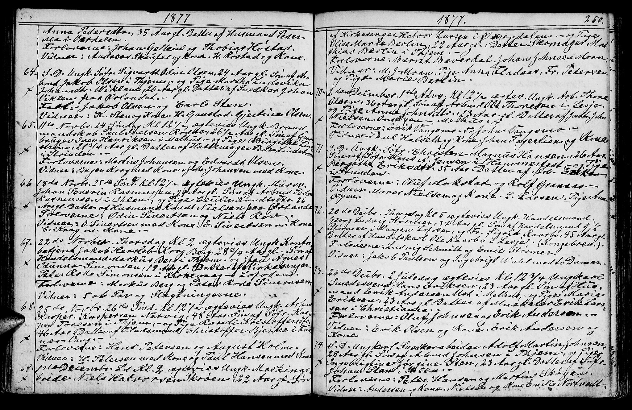 Ministerialprotokoller, klokkerbøker og fødselsregistre - Sør-Trøndelag, SAT/A-1456/602/L0142: Parish register (copy) no. 602C10, 1872-1894, p. 250