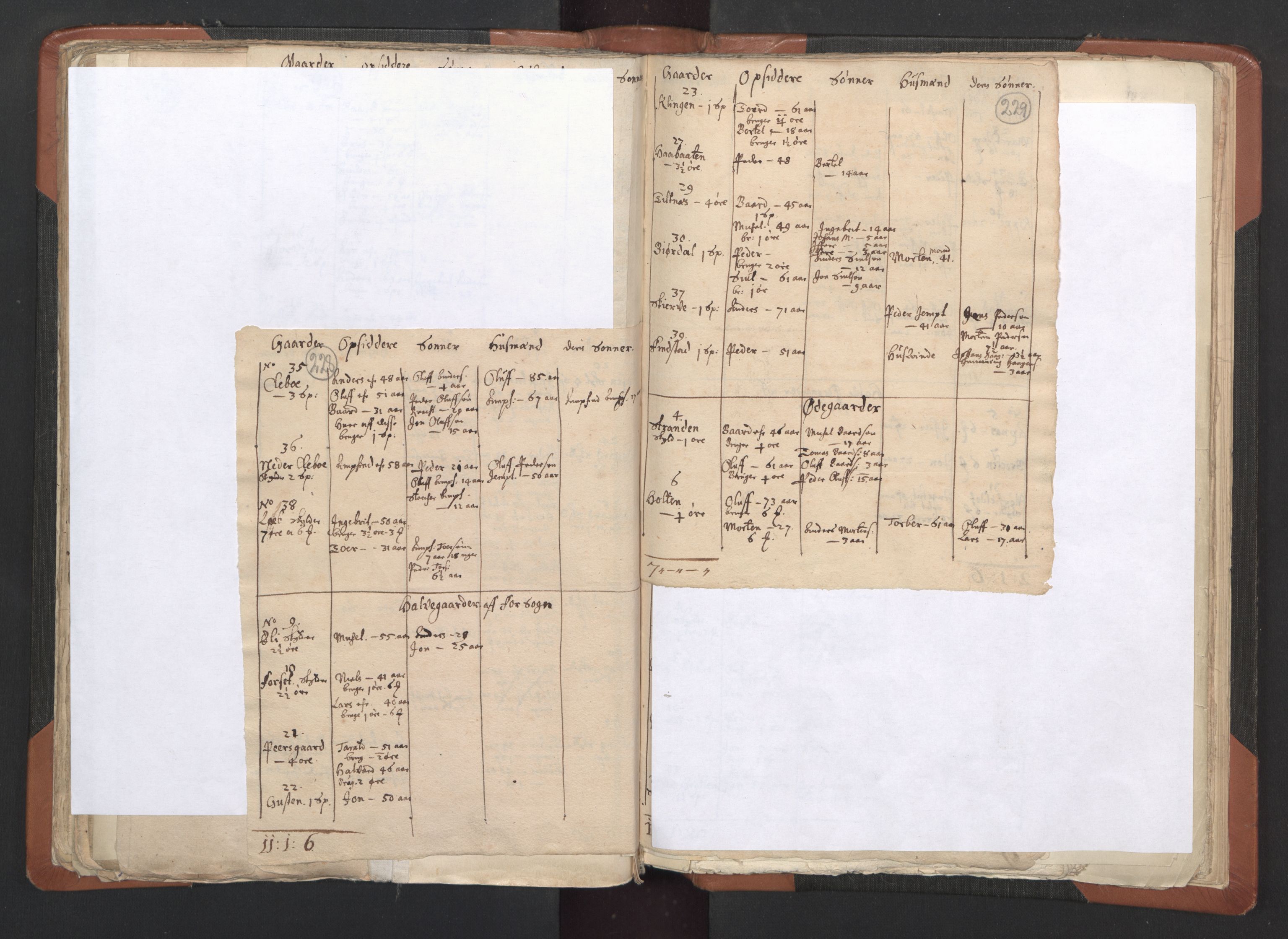 RA, Vicar's Census 1664-1666, no. 33: Innherad deanery, 1664-1666, p. 228-229