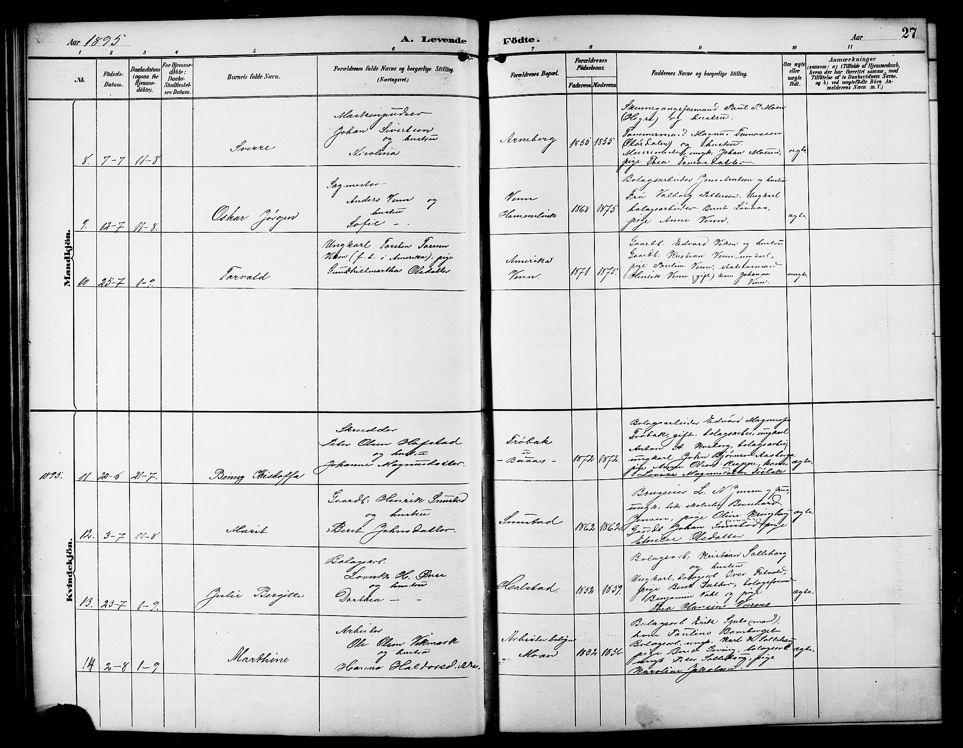 Ministerialprotokoller, klokkerbøker og fødselsregistre - Sør-Trøndelag, SAT/A-1456/617/L0431: Parish register (copy) no. 617C01, 1889-1910, p. 27