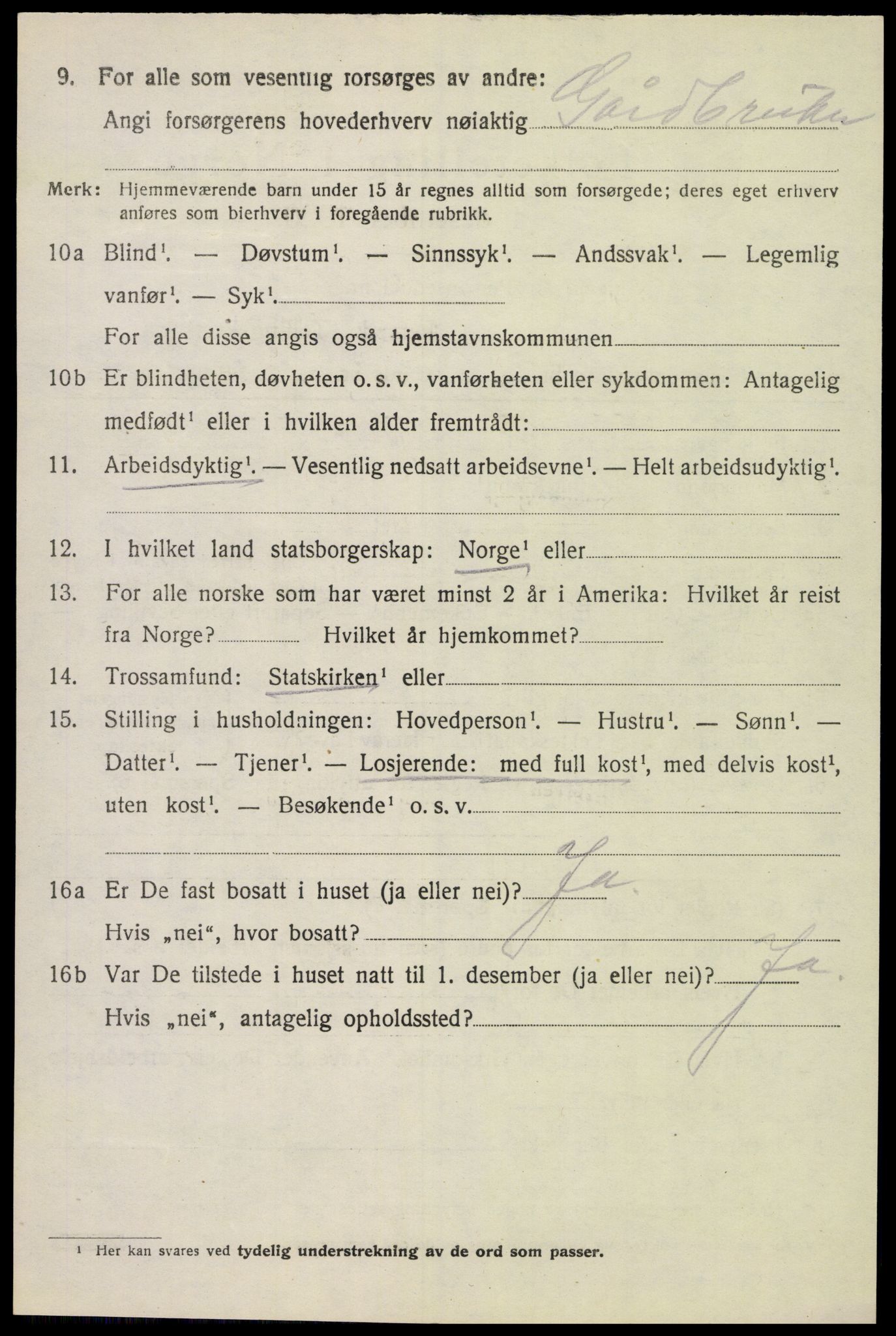 SAH, 1920 census for Vang (Hedmark), 1920, p. 4202