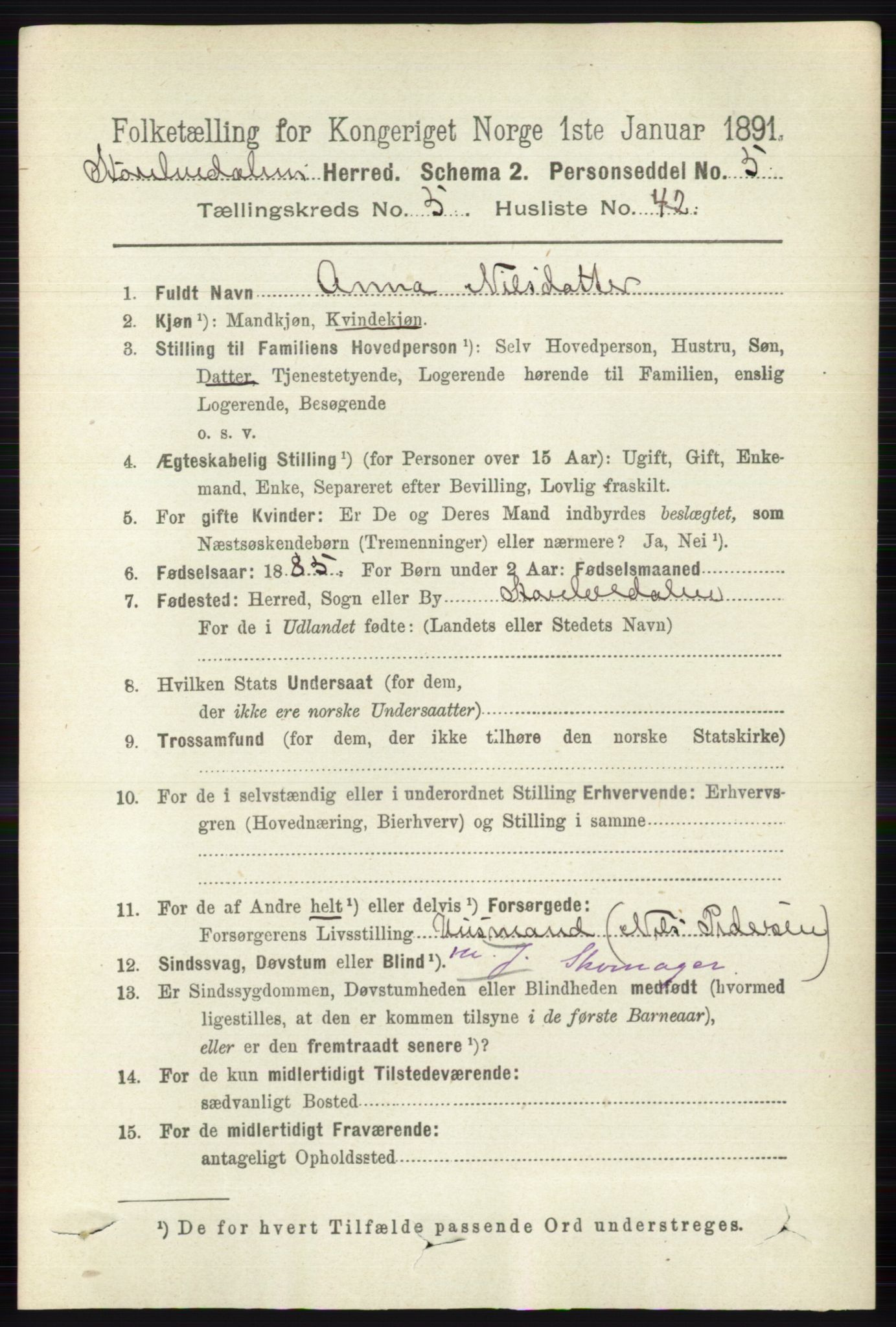 RA, 1891 census for 0430 Stor-Elvdal, 1891, p. 2028