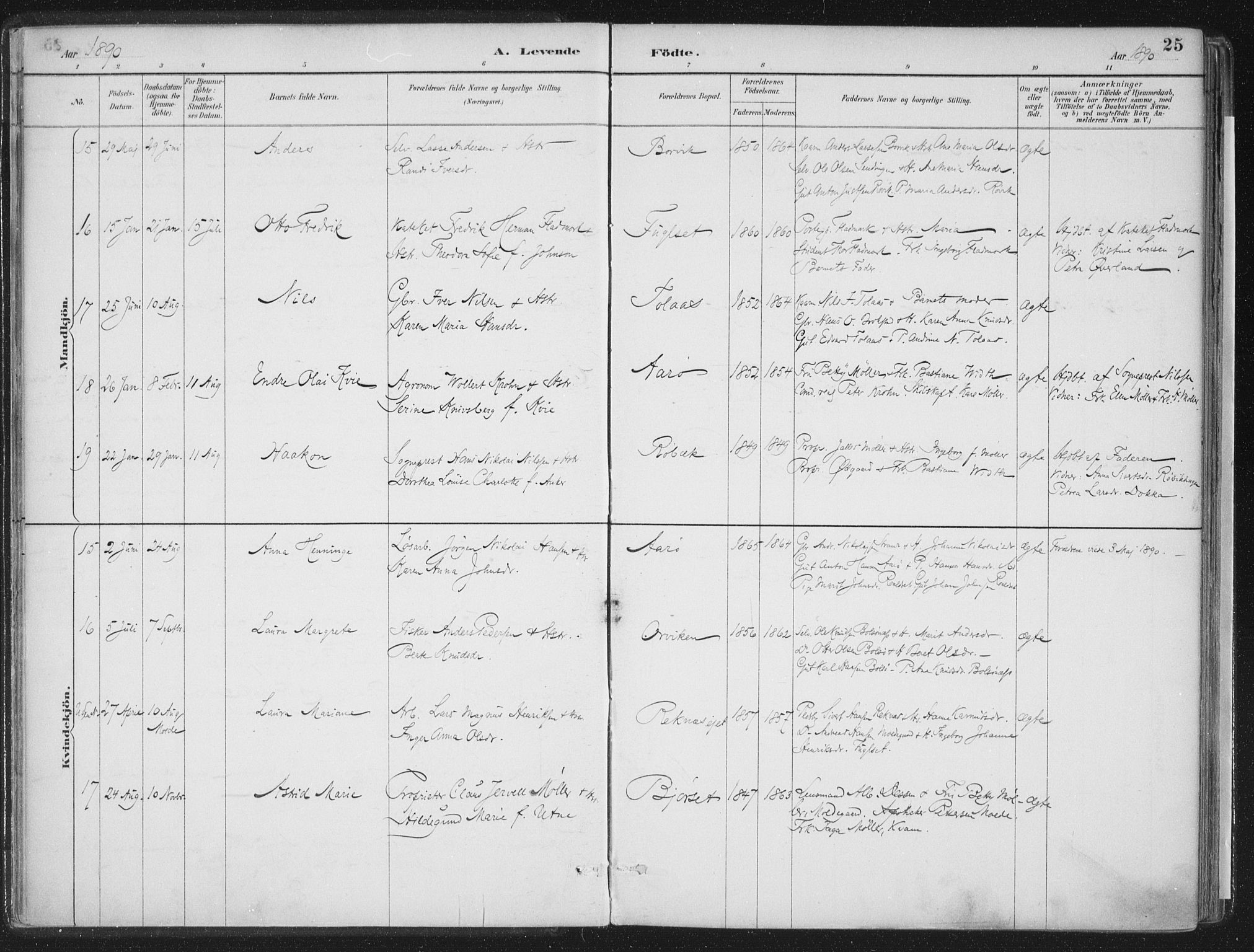 Ministerialprotokoller, klokkerbøker og fødselsregistre - Møre og Romsdal, AV/SAT-A-1454/555/L0658: Parish register (official) no. 555A09, 1887-1917, p. 25