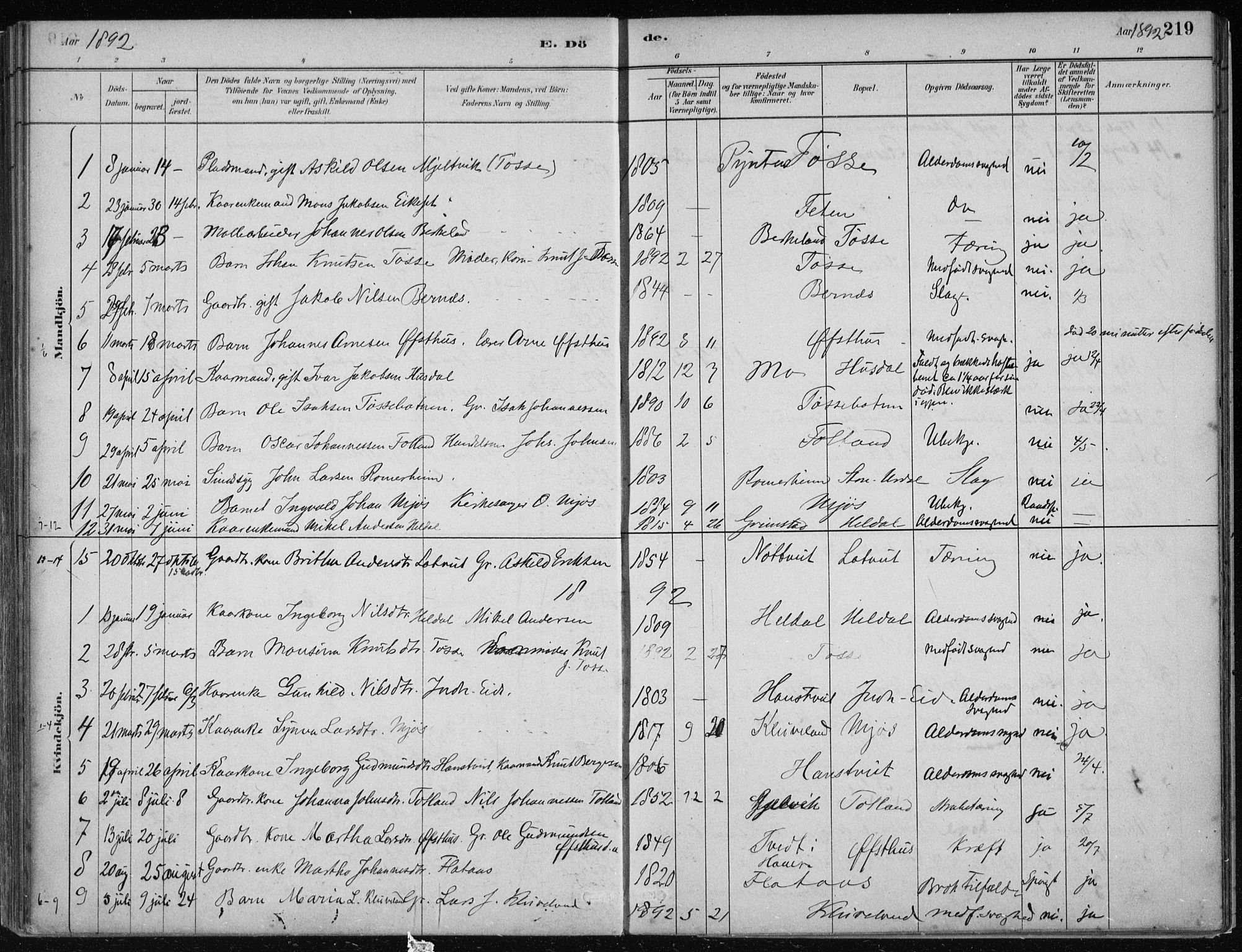 Hosanger sokneprestembete, SAB/A-75801/H/Haa: Parish register (official) no. B  1, 1880-1896, p. 219