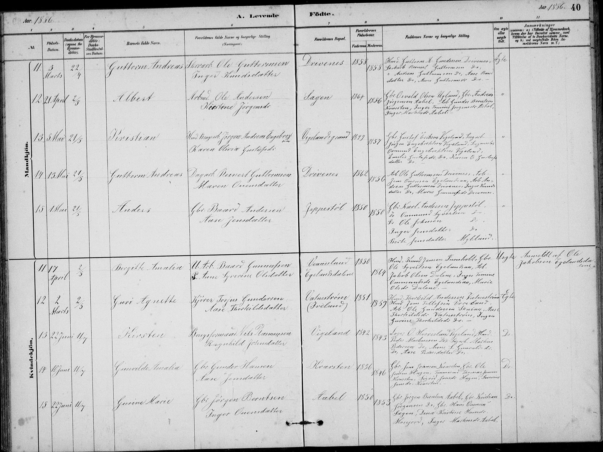 Vennesla sokneprestkontor, AV/SAK-1111-0045/Fb/Fbb/L0003: Parish register (copy) no. B 3, 1879-1893, p. 40