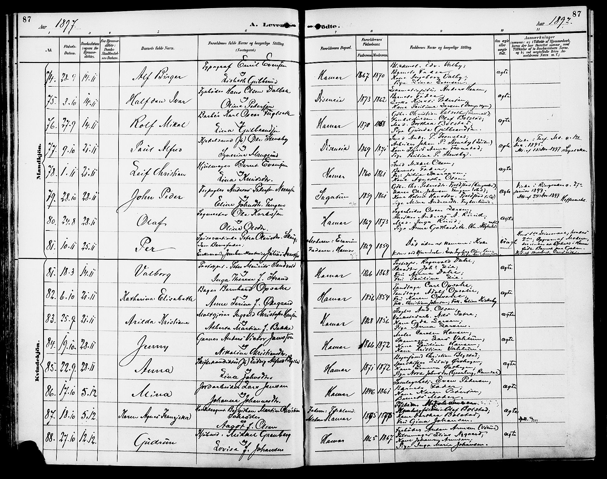 Vang prestekontor, Hedmark, AV/SAH-PREST-008/H/Ha/Haa/L0017: Parish register (official) no. 17, 1890-1899, p. 87