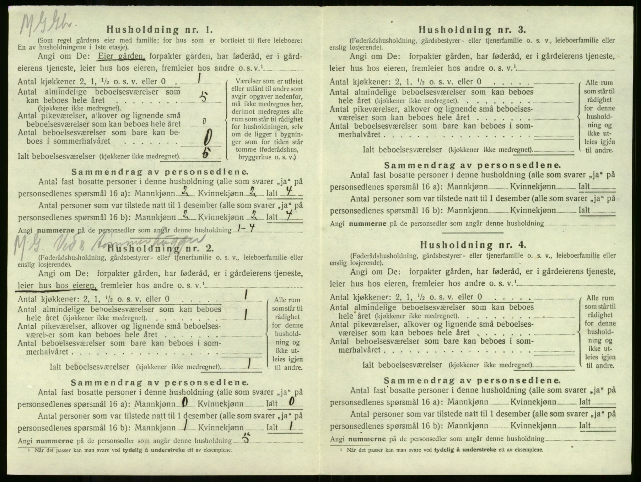 SAKO, 1920 census for Ramnes, 1920, p. 732