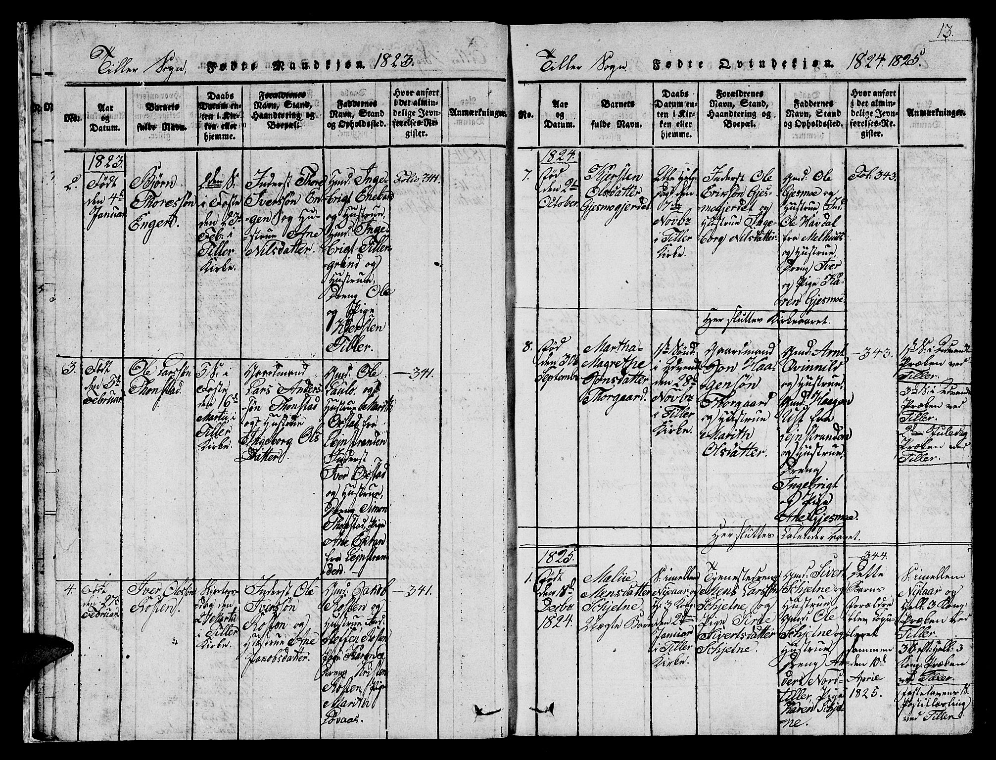 Ministerialprotokoller, klokkerbøker og fødselsregistre - Sør-Trøndelag, AV/SAT-A-1456/621/L0458: Parish register (copy) no. 621C01, 1816-1865, p. 13