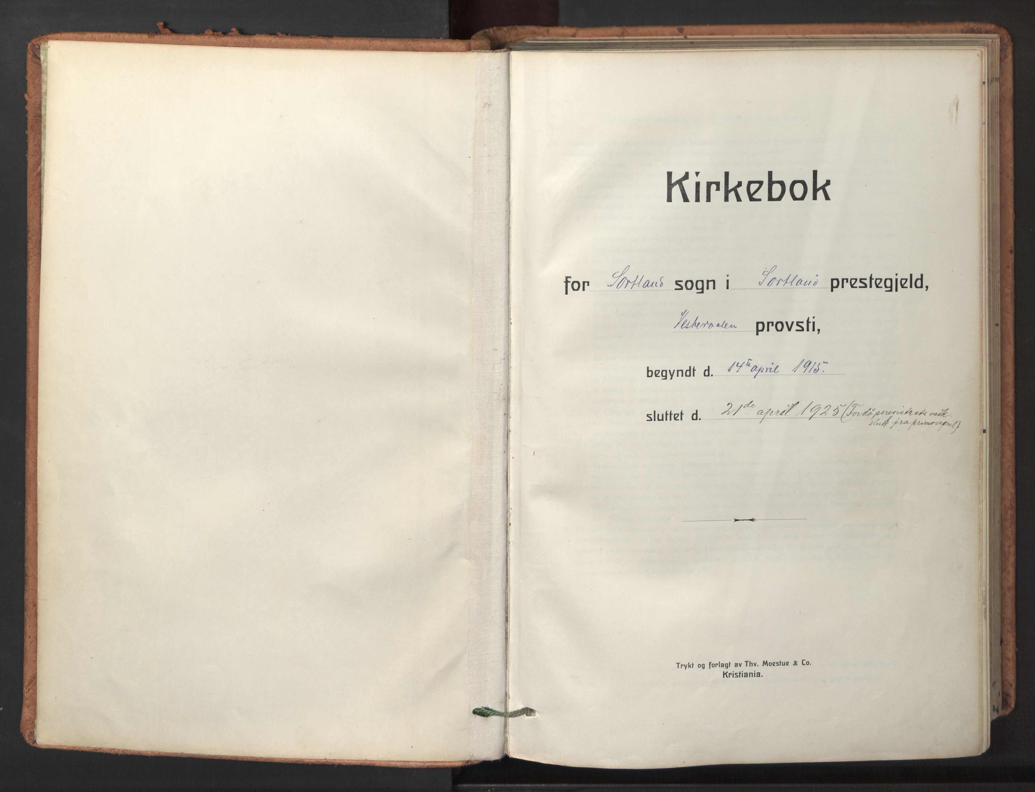 Ministerialprotokoller, klokkerbøker og fødselsregistre - Nordland, AV/SAT-A-1459/895/L1374: Parish register (official) no. 895A09, 1915-1925