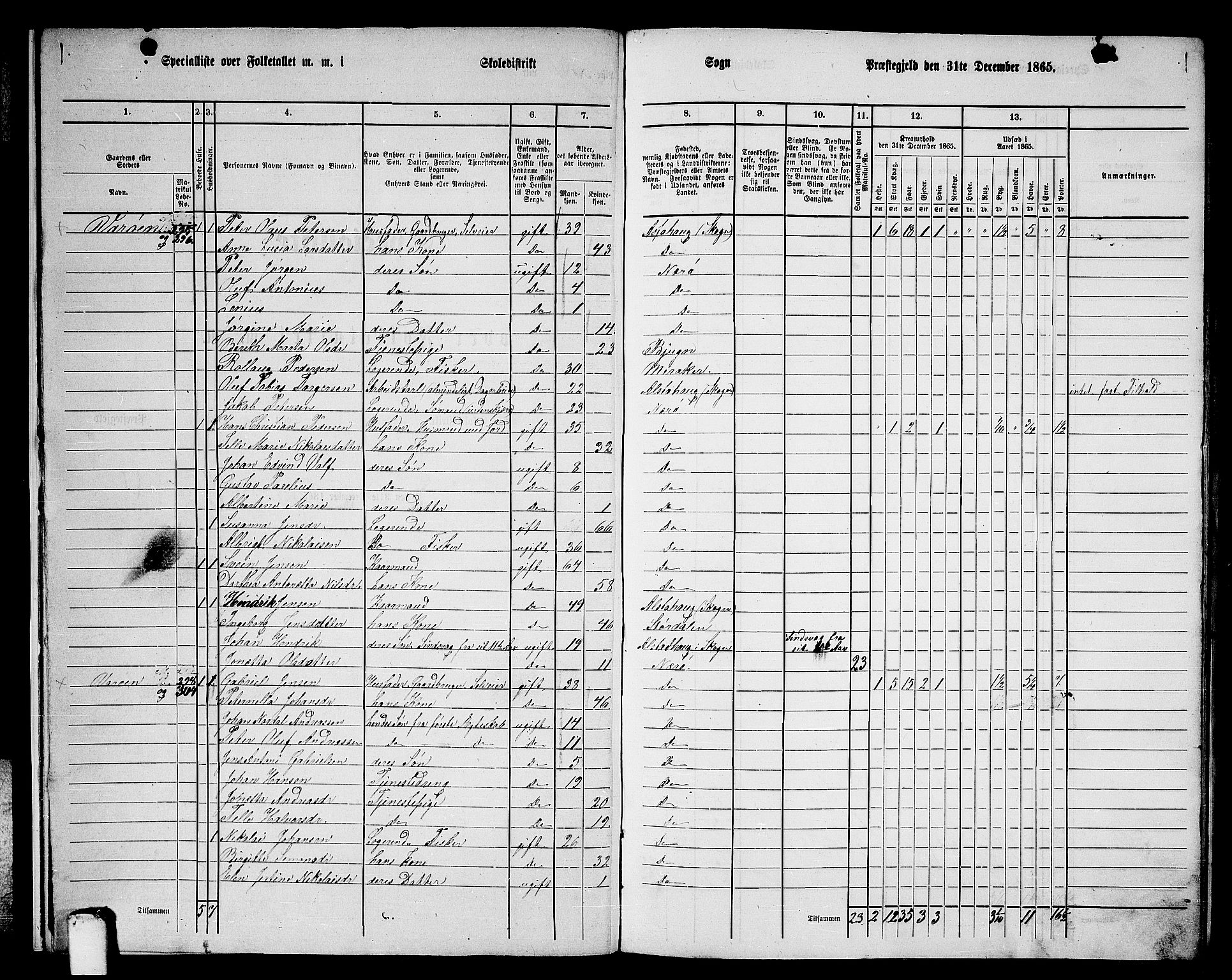 RA, 1865 census for Nærøy, 1865, p. 11