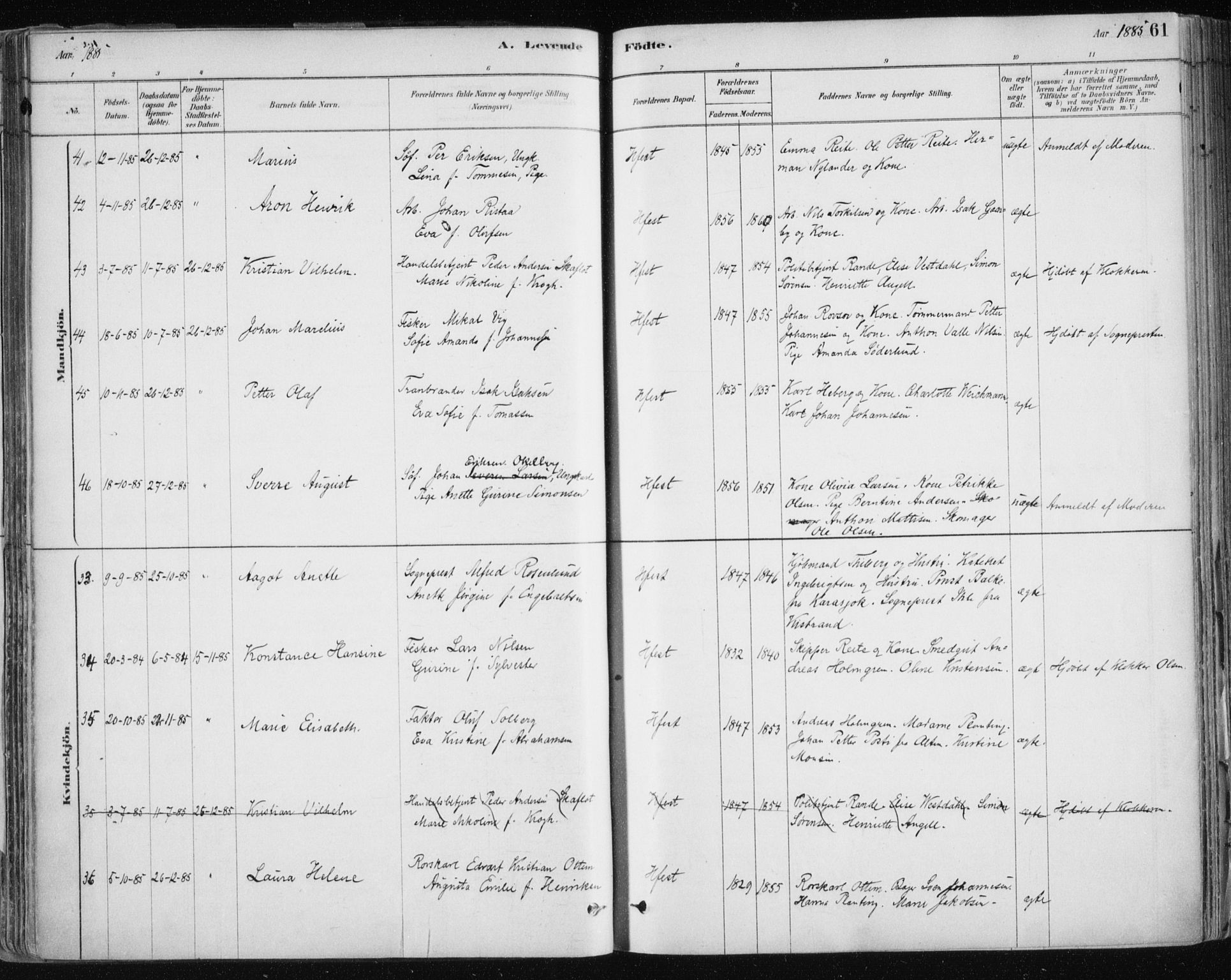 Hammerfest sokneprestkontor, AV/SATØ-S-1347/H/Ha/L0008.kirke: Parish register (official) no. 8, 1878-1889, p. 61