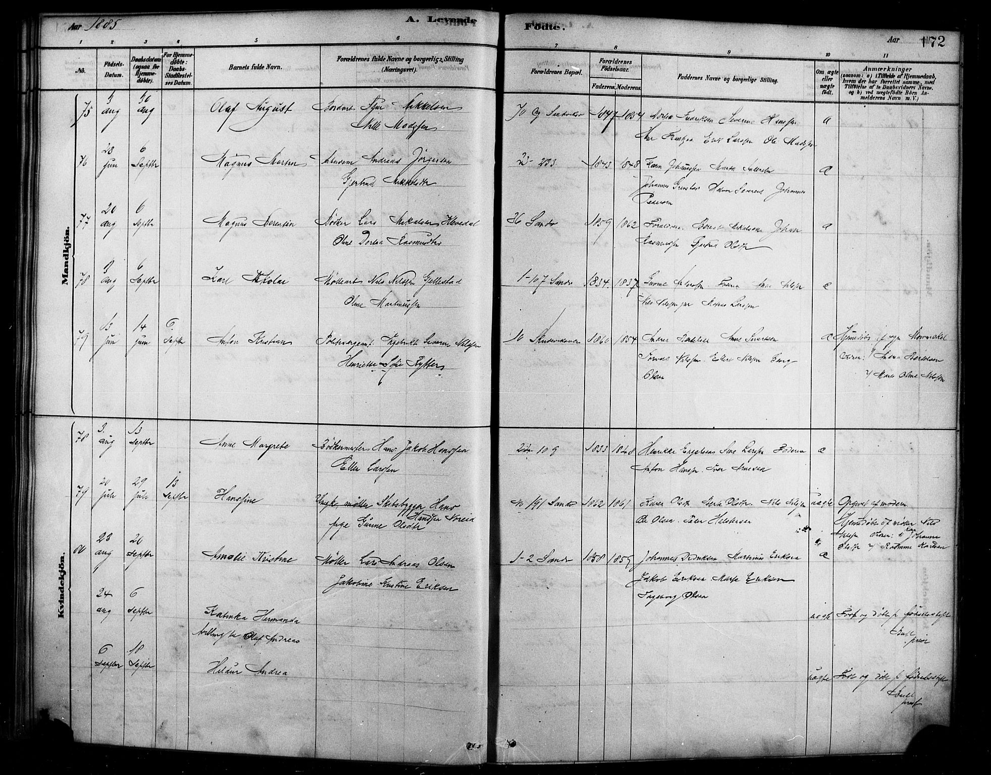 Sandviken Sokneprestembete, AV/SAB-A-77601/H/Ha/L0004: Parish register (official) no. B 1, 1878-1891, p. 172