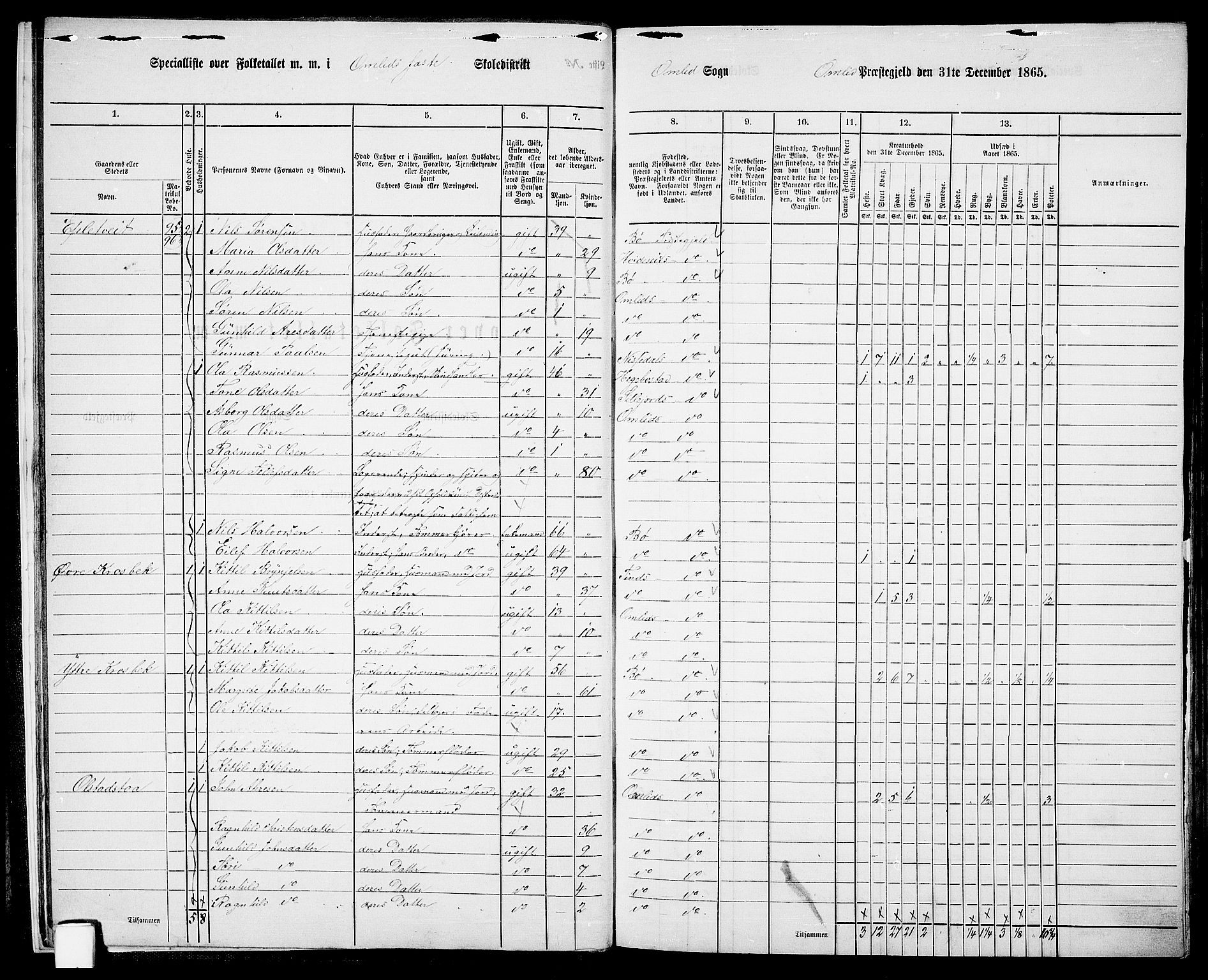 RA, 1865 census for Åmli, 1865, p. 13