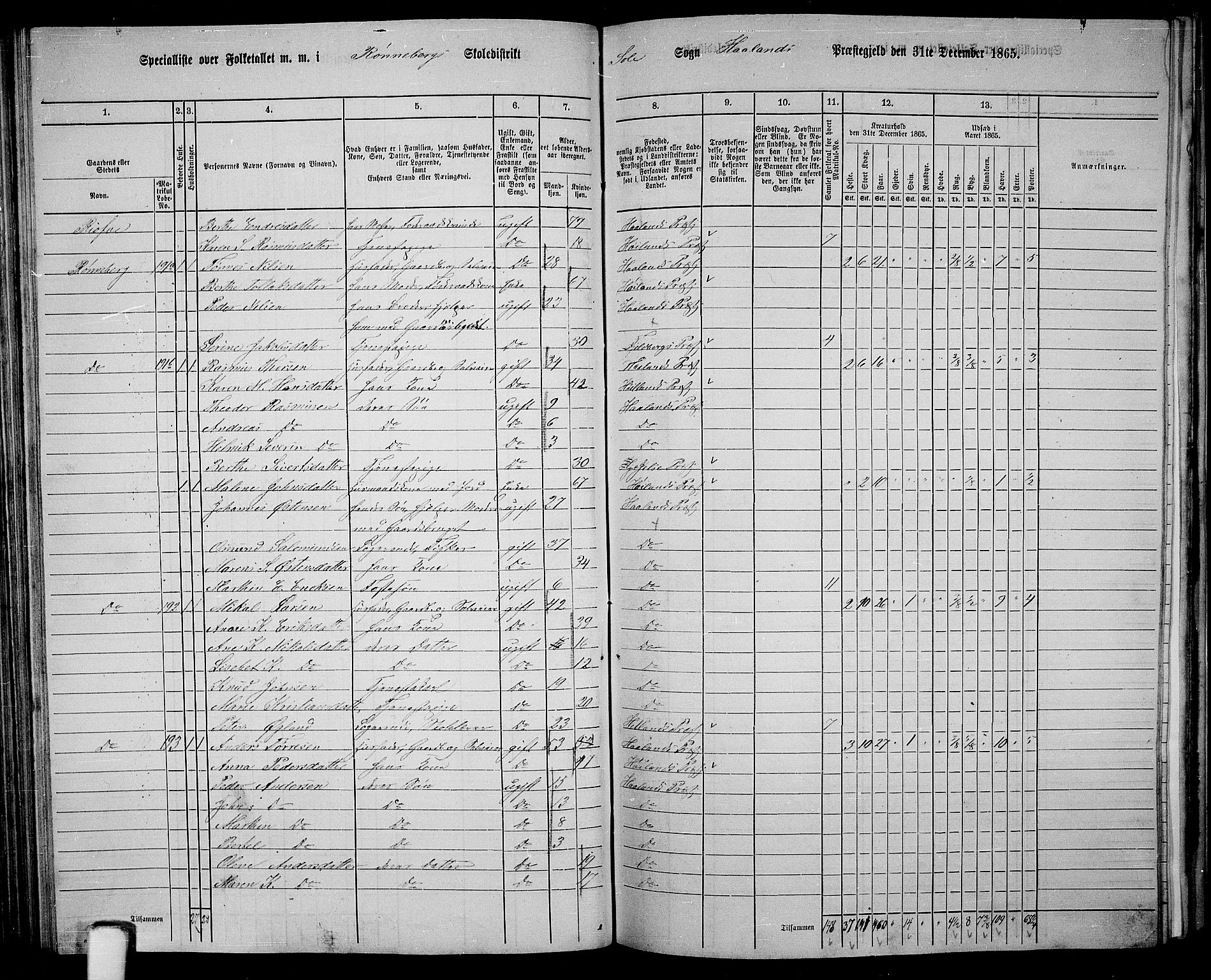 RA, 1865 census for Håland, 1865, p. 90