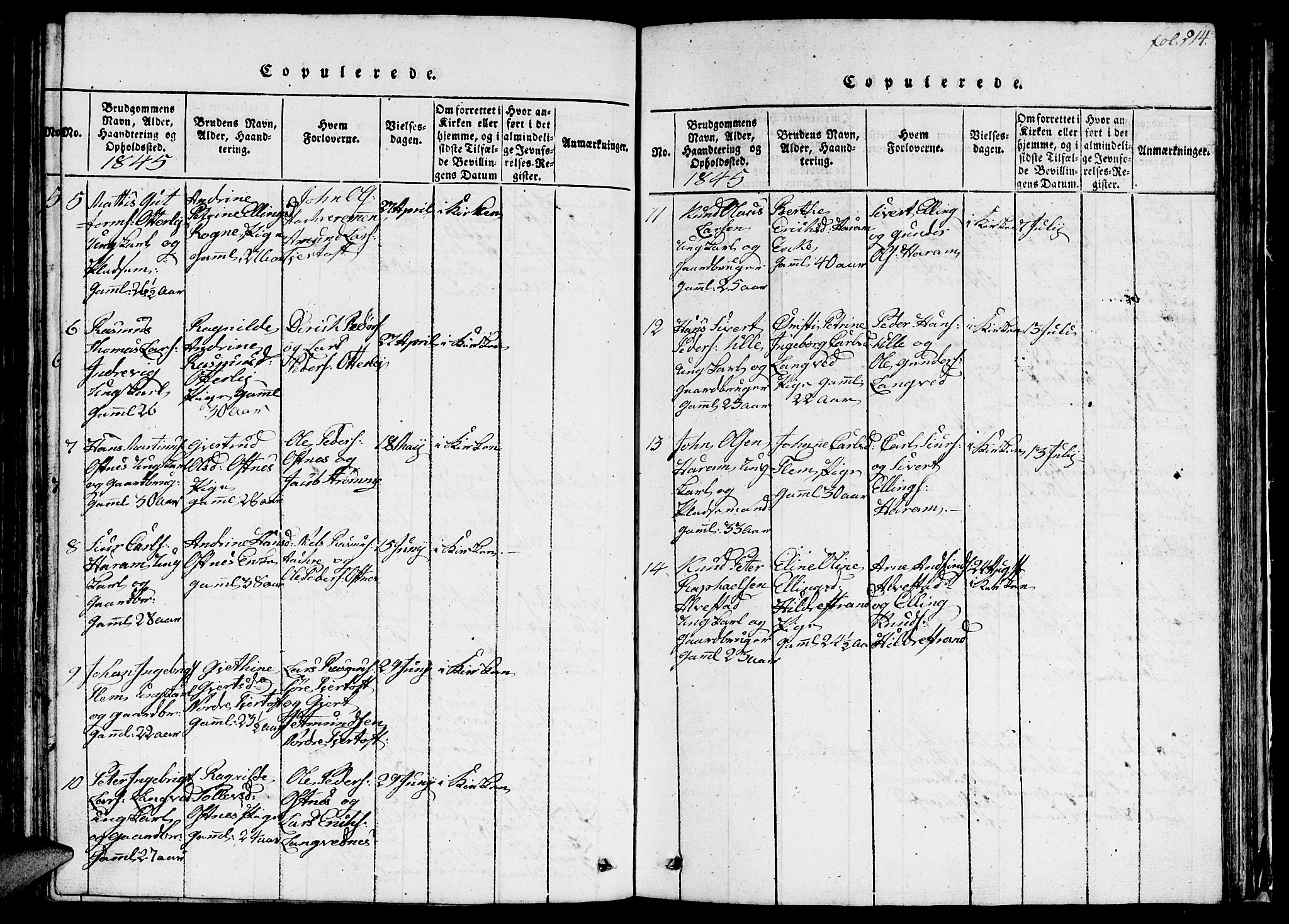 Ministerialprotokoller, klokkerbøker og fødselsregistre - Møre og Romsdal, AV/SAT-A-1454/536/L0506: Parish register (copy) no. 536C01, 1818-1859, p. 214