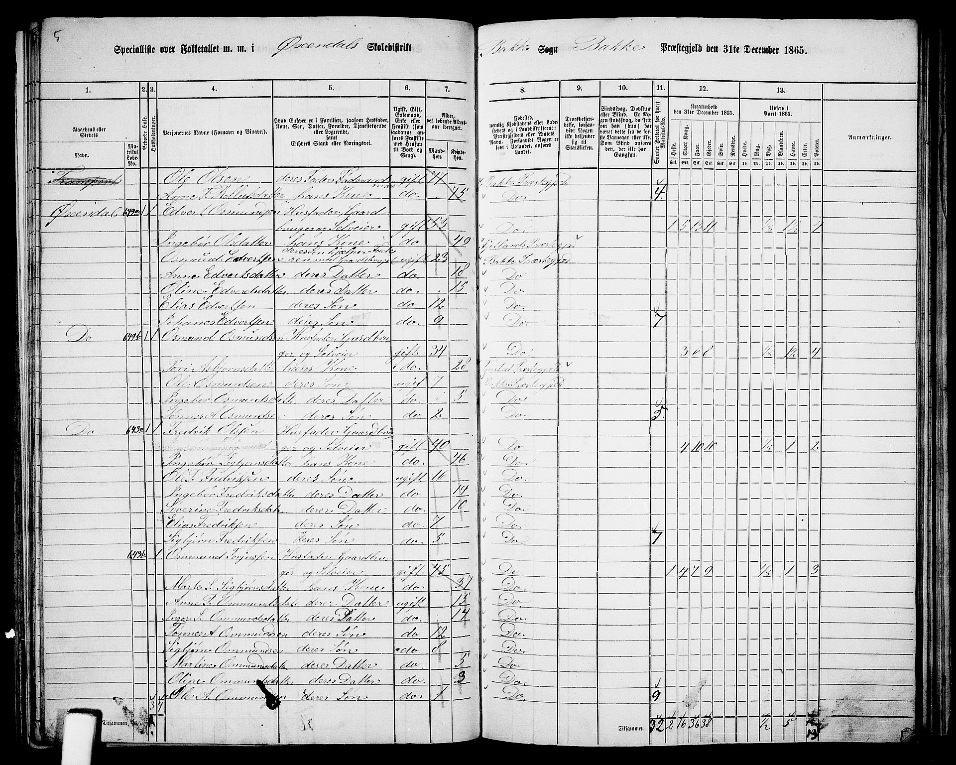 RA, 1865 census for Bakke, 1865, p. 66