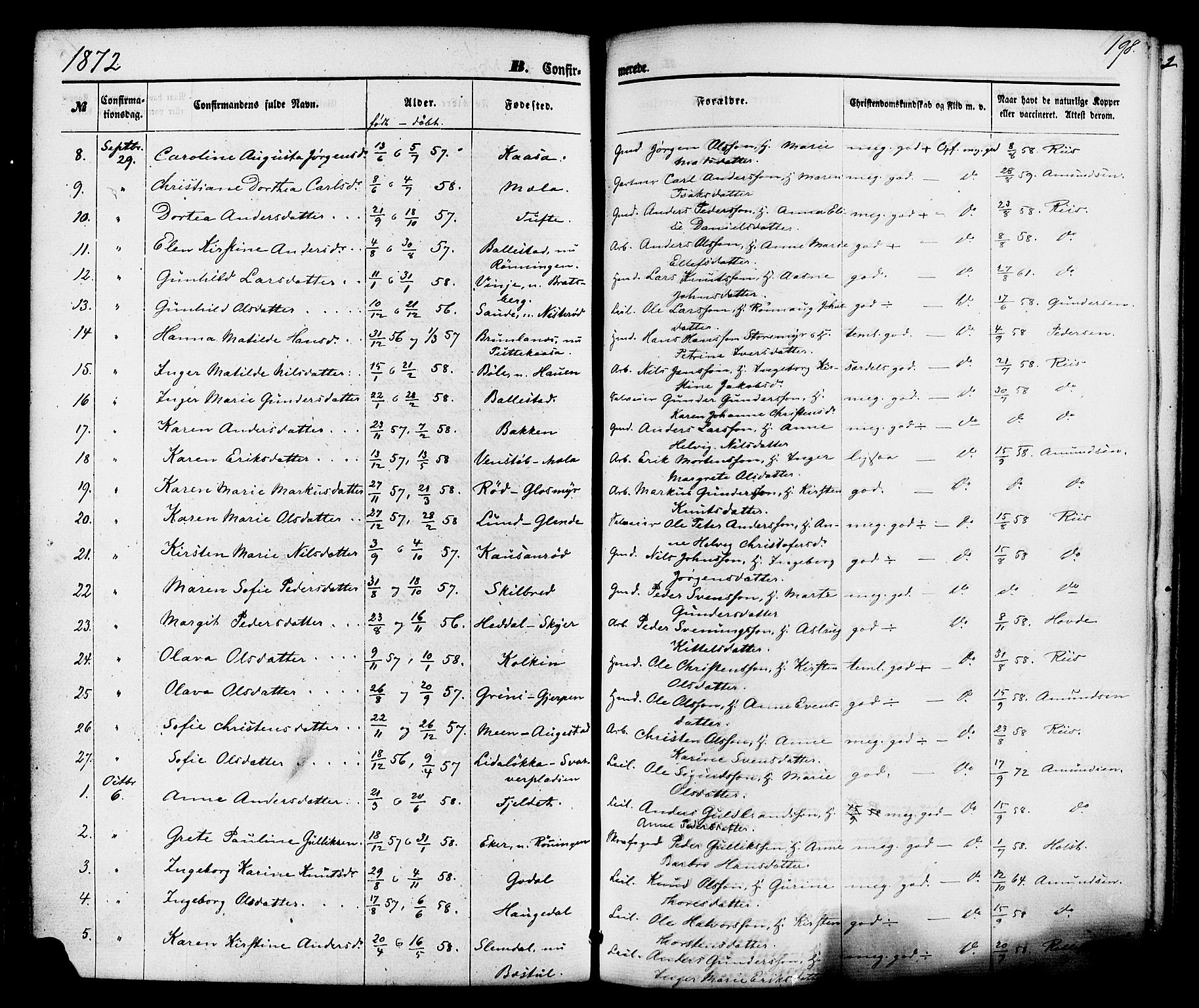 Gjerpen kirkebøker, SAKO/A-265/F/Fa/L0009: Parish register (official) no. I 9, 1872-1885, p. 198