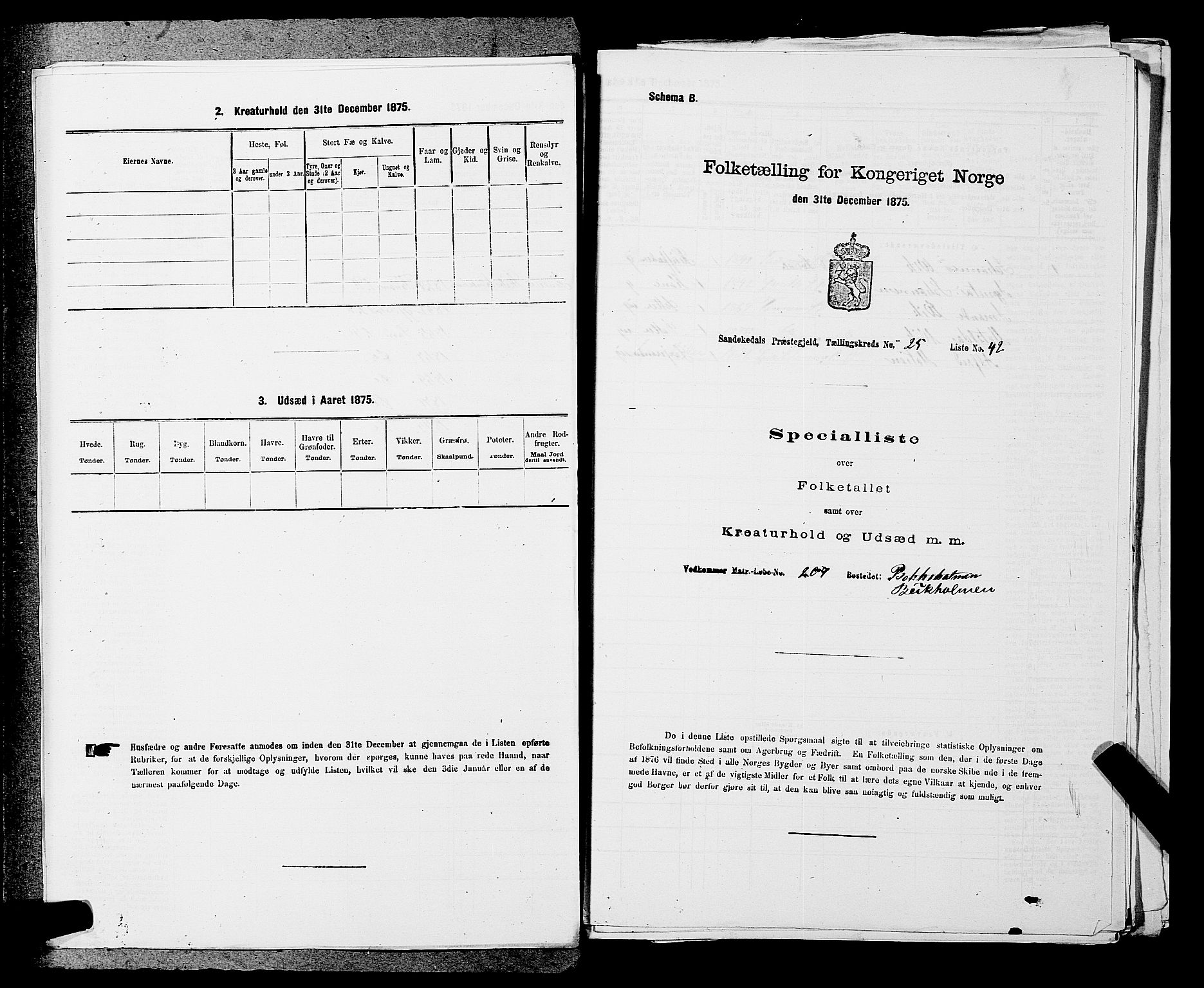 SAKO, 1875 census for 0816P Sannidal, 1875, p. 1998