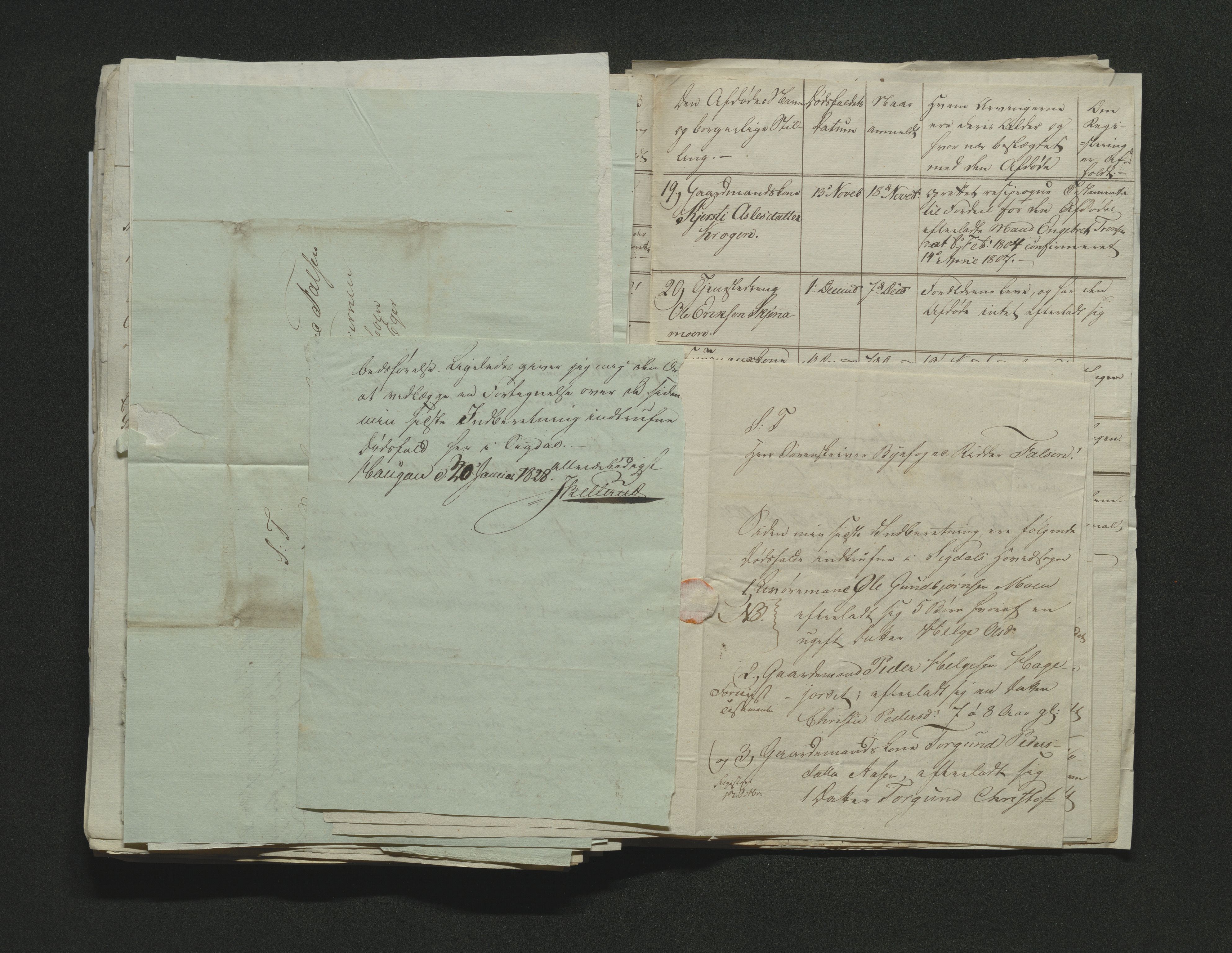 Eiker, Modum og Sigdal sorenskriveri, AV/SAKO-A-123/H/Ha/Hab/L0002: Dødsfallsmeldinger, 1823-1829, p. 223