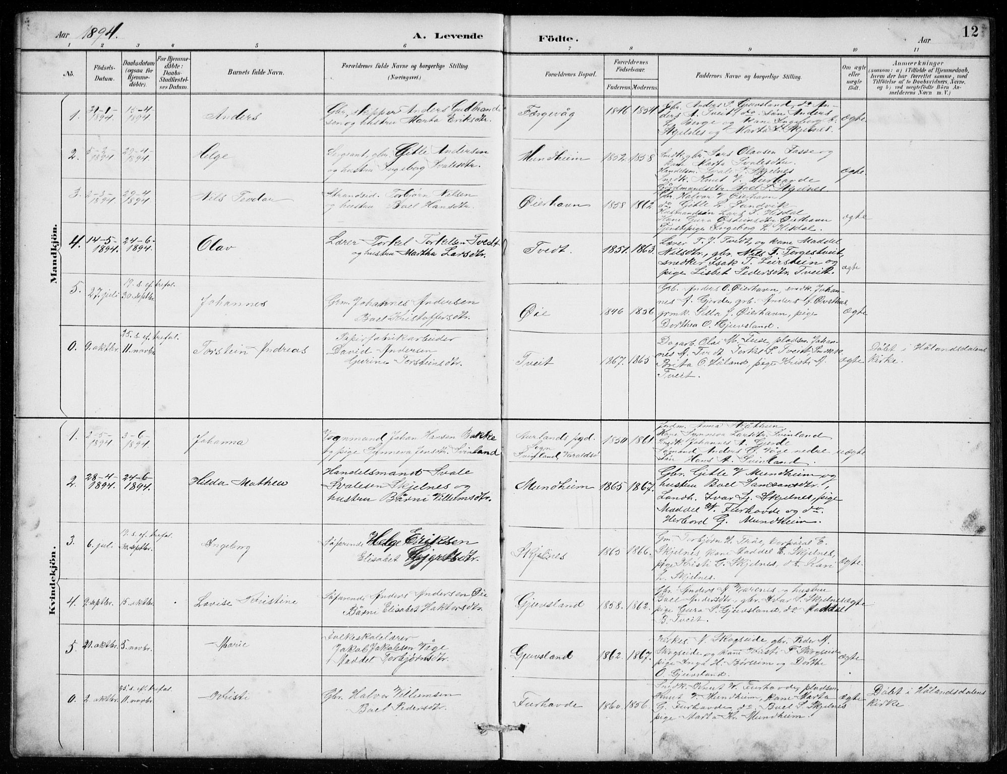 Strandebarm sokneprestembete, AV/SAB-A-78401/H/Hab: Parish register (copy) no. C  1, 1891-1913, p. 12