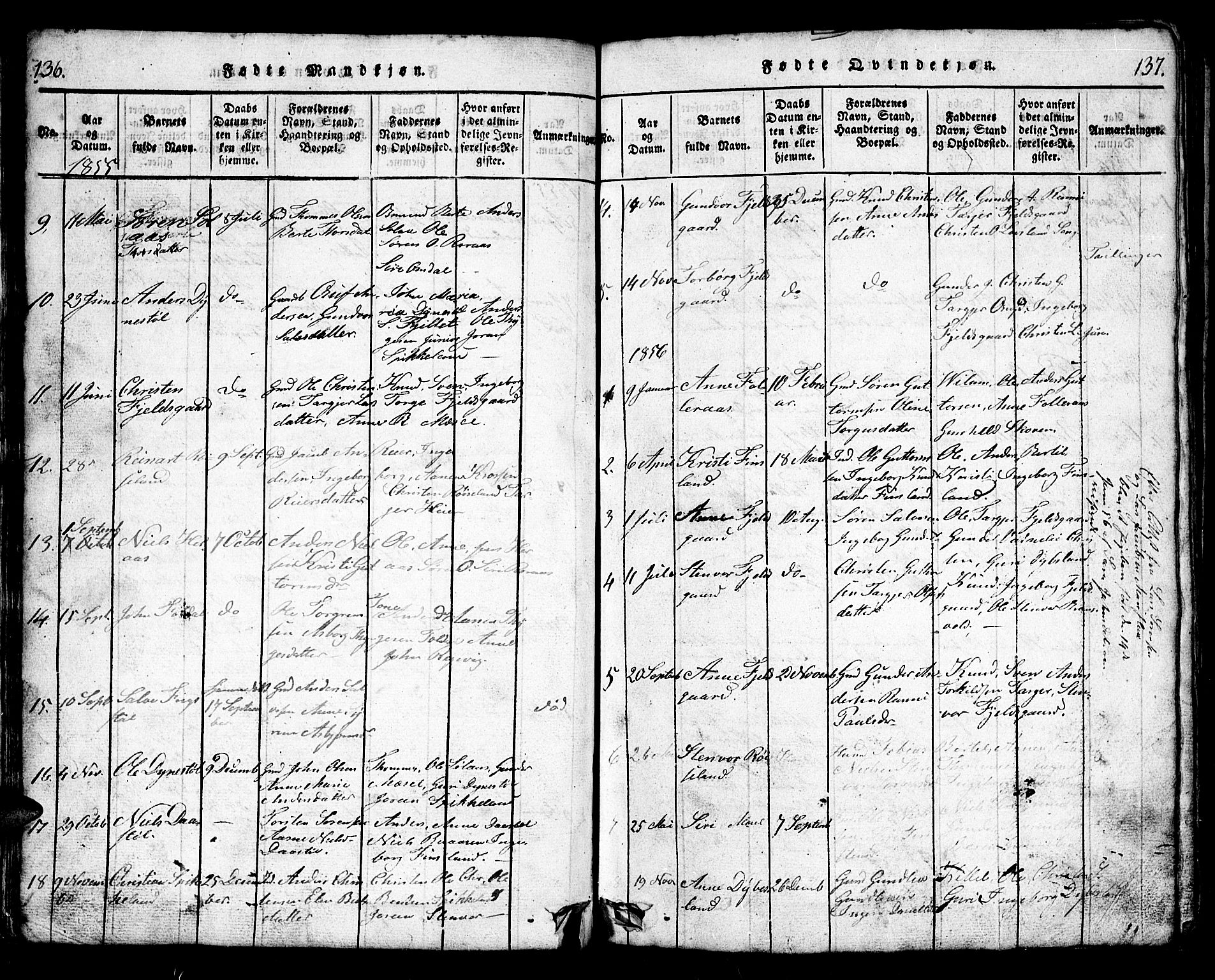 Bjelland sokneprestkontor, AV/SAK-1111-0005/F/Fb/Fbb/L0003: Parish register (copy) no. B 3, 1816-1868, p. 136-137