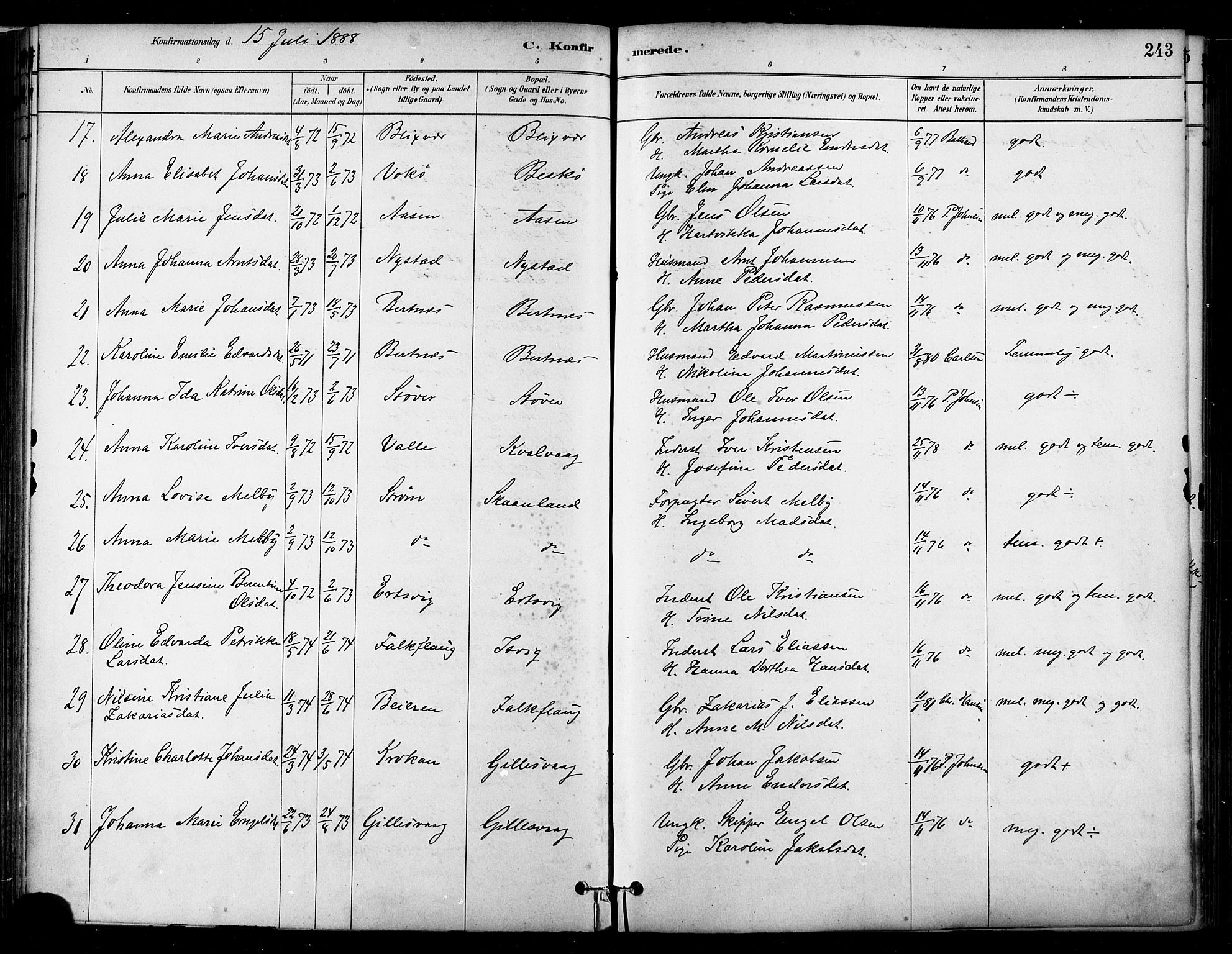 Ministerialprotokoller, klokkerbøker og fødselsregistre - Nordland, SAT/A-1459/802/L0054: Parish register (official) no. 802A01, 1879-1893, p. 243