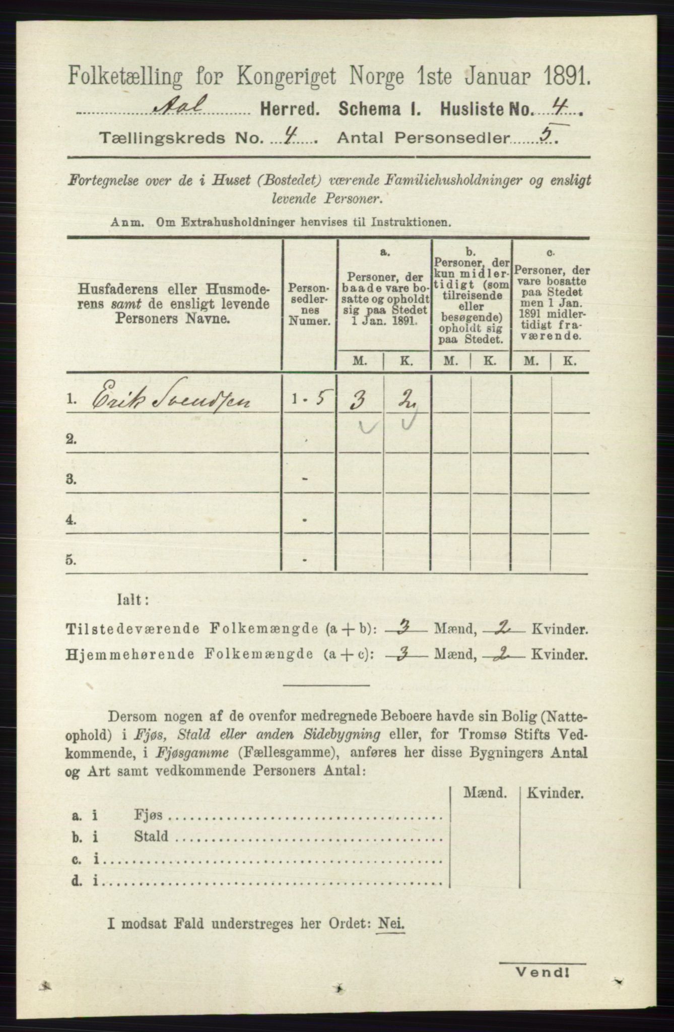 RA, 1891 census for 0619 Ål, 1891, p. 984