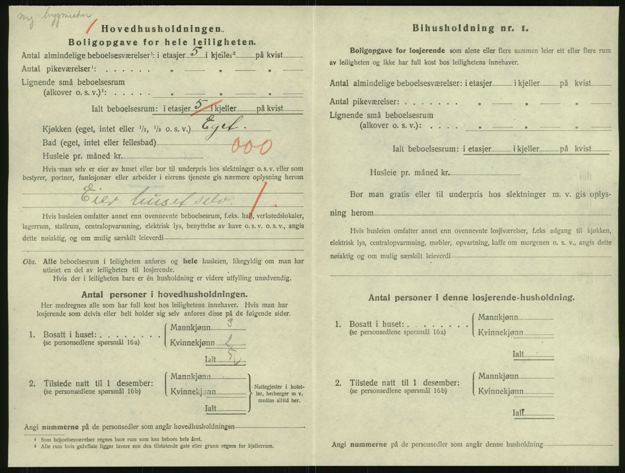 SAT, 1920 census for Namsos, 1920, p. 1038