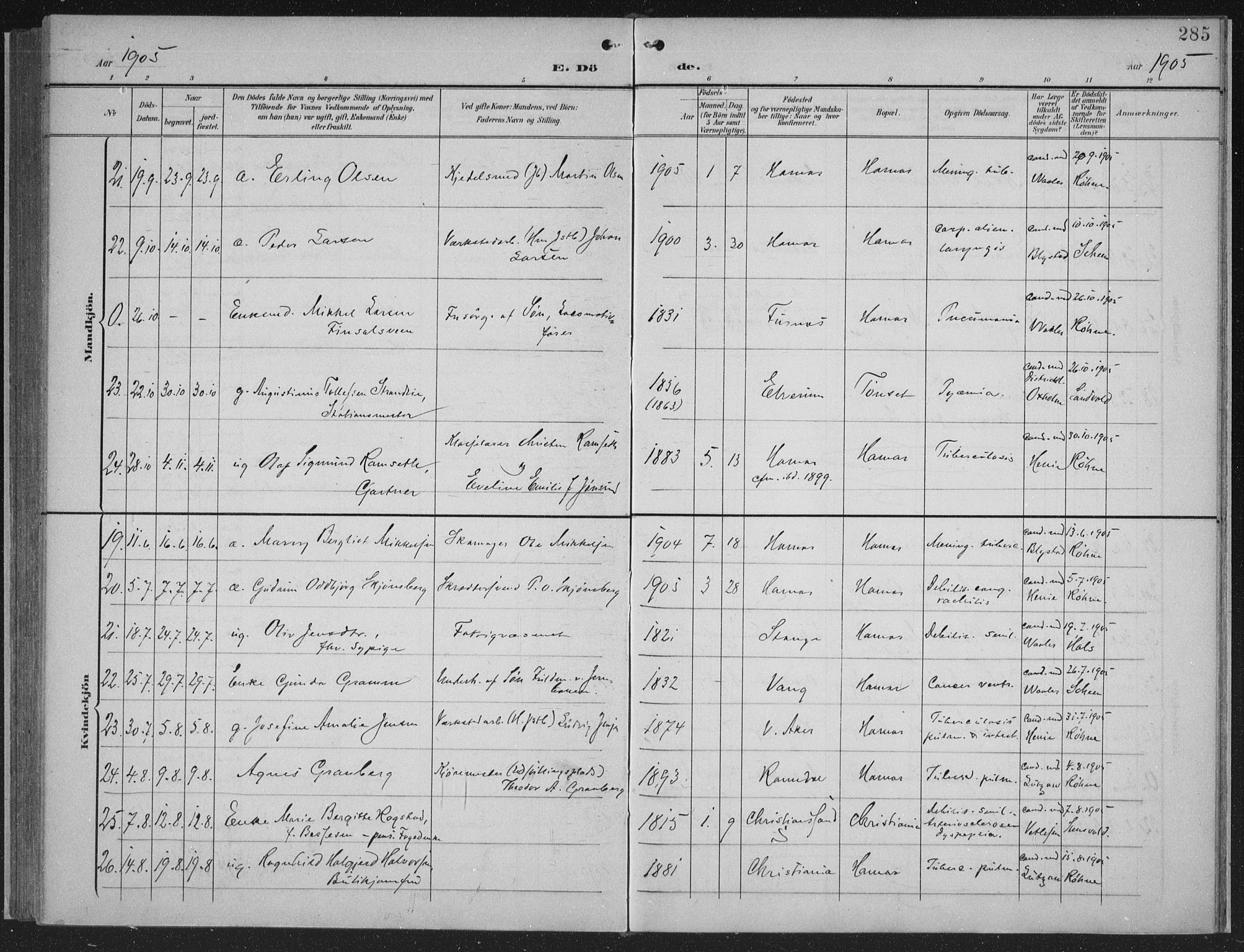 Hamar prestekontor, AV/SAH-DOMPH-002/H/Ha/Haa/L0001: Parish register (official) no. 1, 1900-1914, p. 285