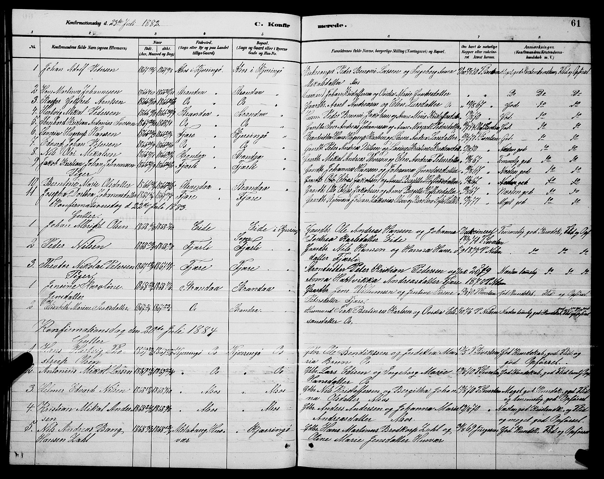 Ministerialprotokoller, klokkerbøker og fødselsregistre - Nordland, SAT/A-1459/803/L0076: Parish register (copy) no. 803C03, 1882-1897, p. 61