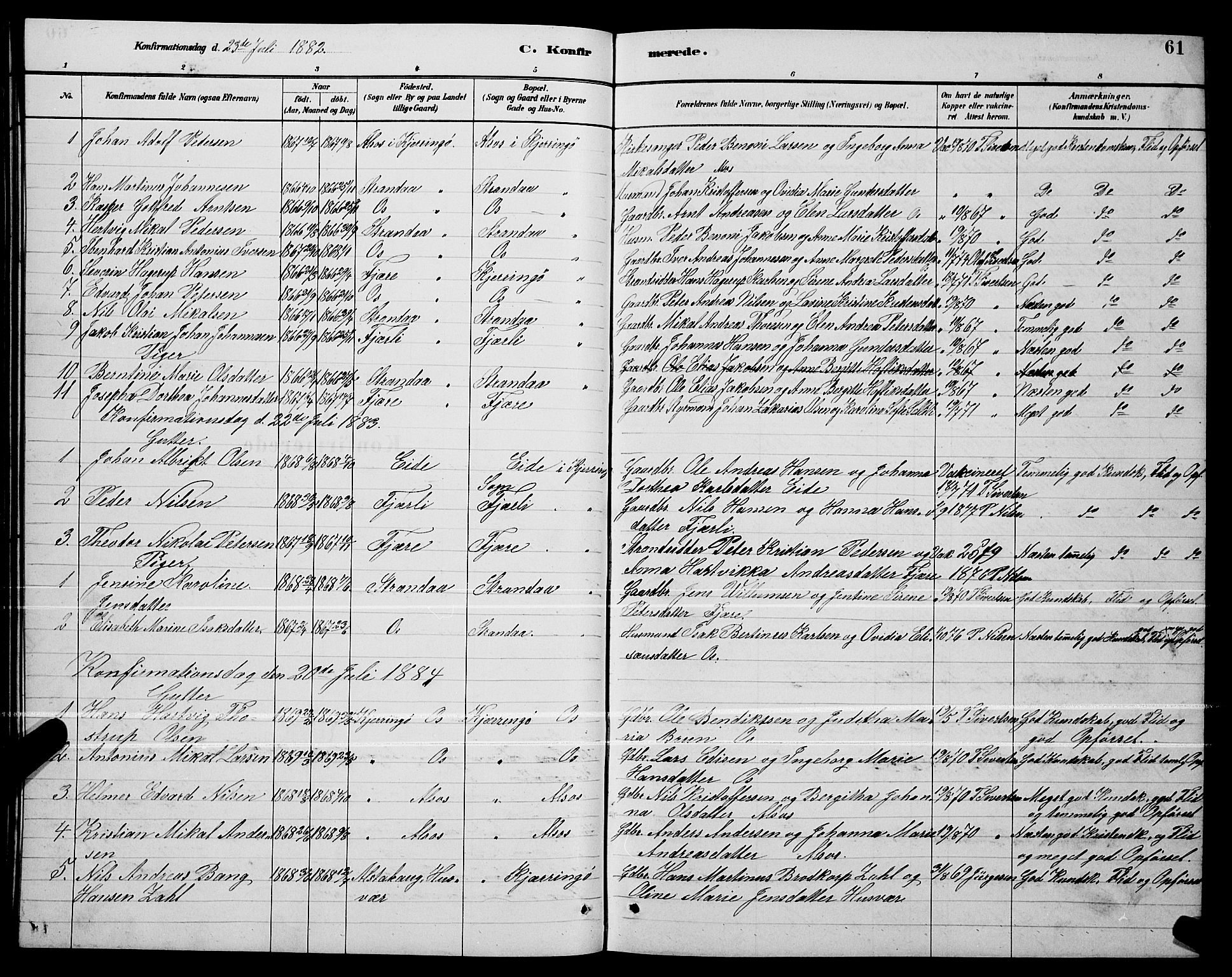 Ministerialprotokoller, klokkerbøker og fødselsregistre - Nordland, AV/SAT-A-1459/803/L0076: Parish register (copy) no. 803C03, 1882-1897, p. 61