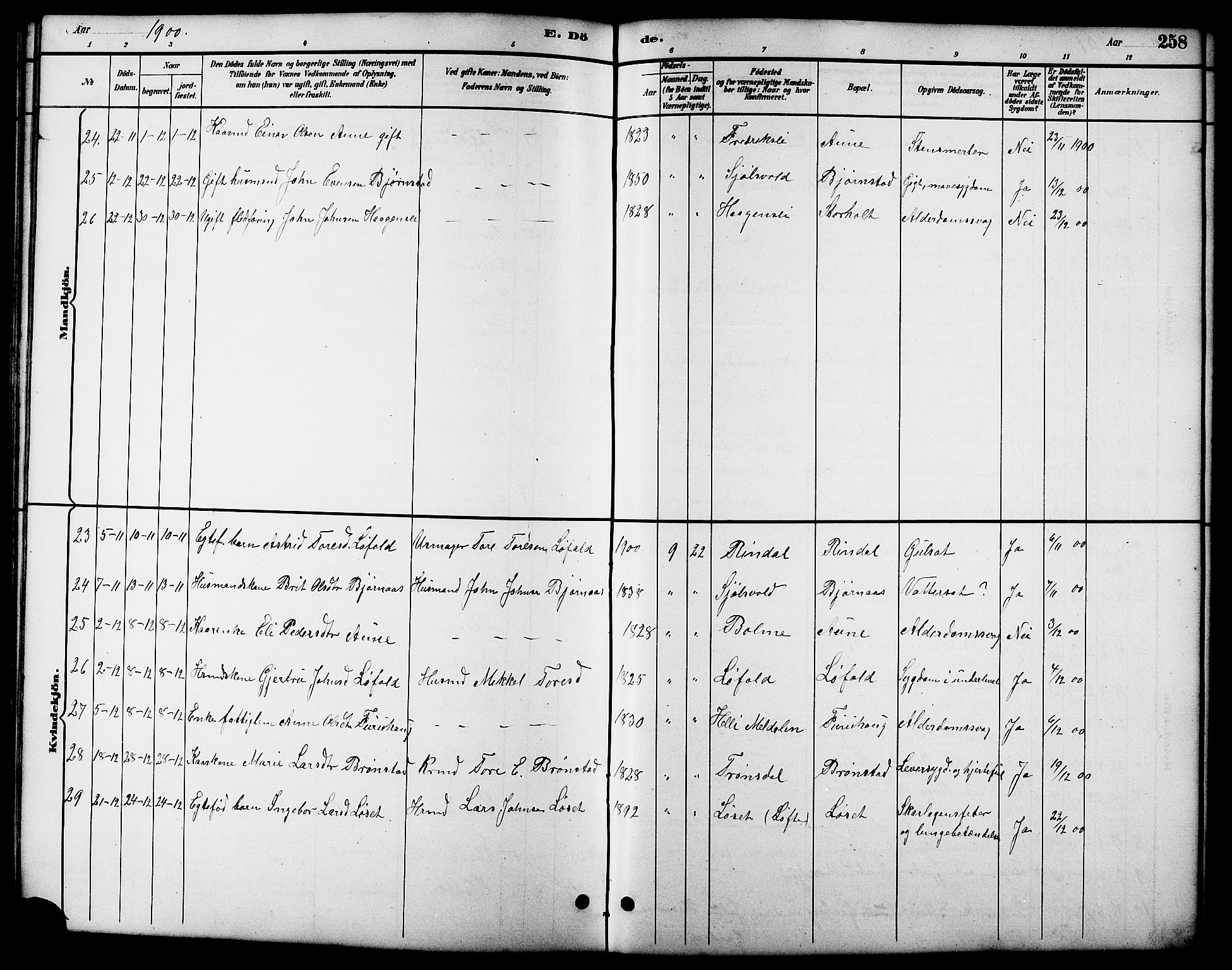 Ministerialprotokoller, klokkerbøker og fødselsregistre - Møre og Romsdal, SAT/A-1454/598/L1078: Parish register (copy) no. 598C03, 1892-1909, p. 258