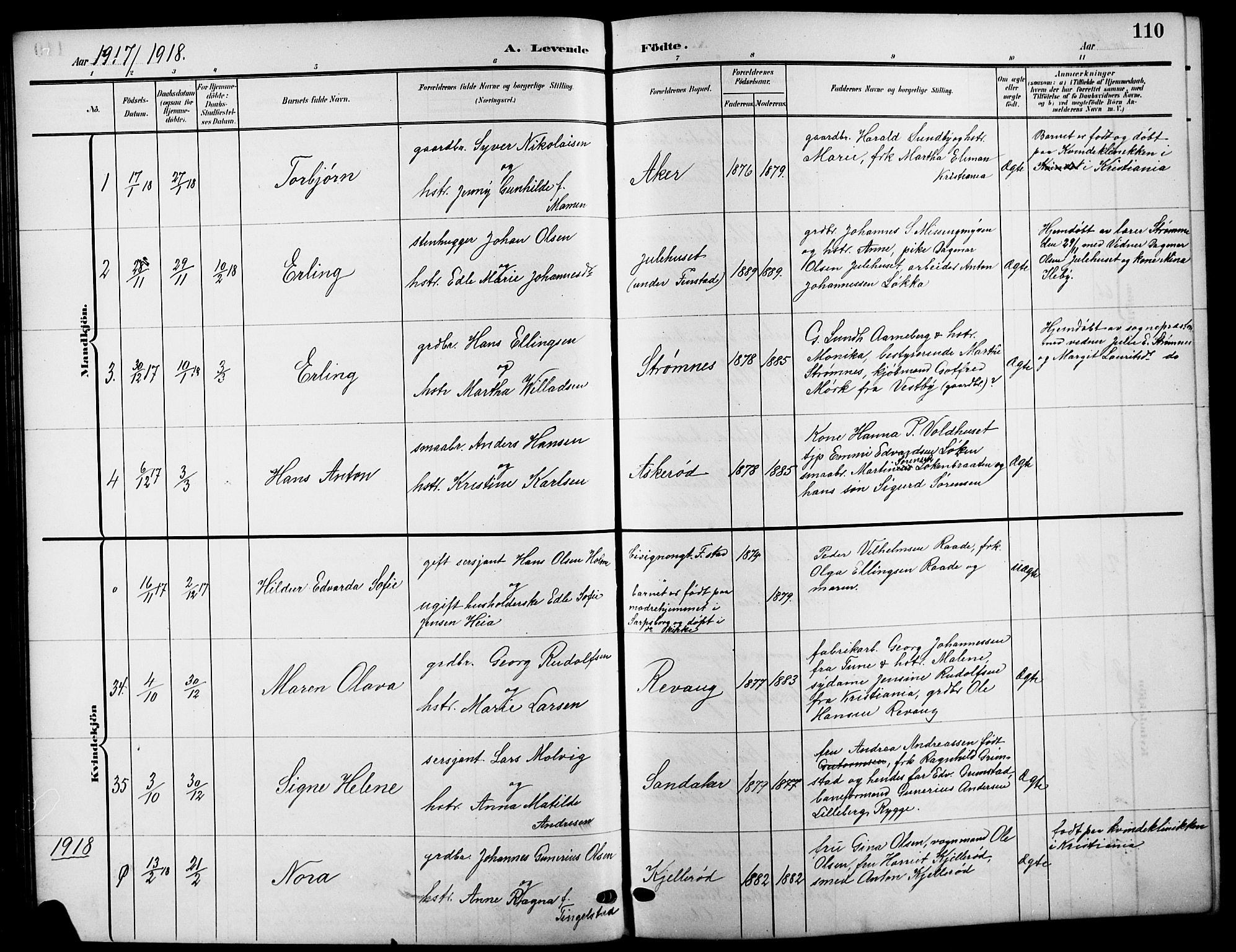 Råde prestekontor kirkebøker, SAO/A-2009/G/Ga/L0001: Parish register (copy) no. 1, 1903-1925, p. 110