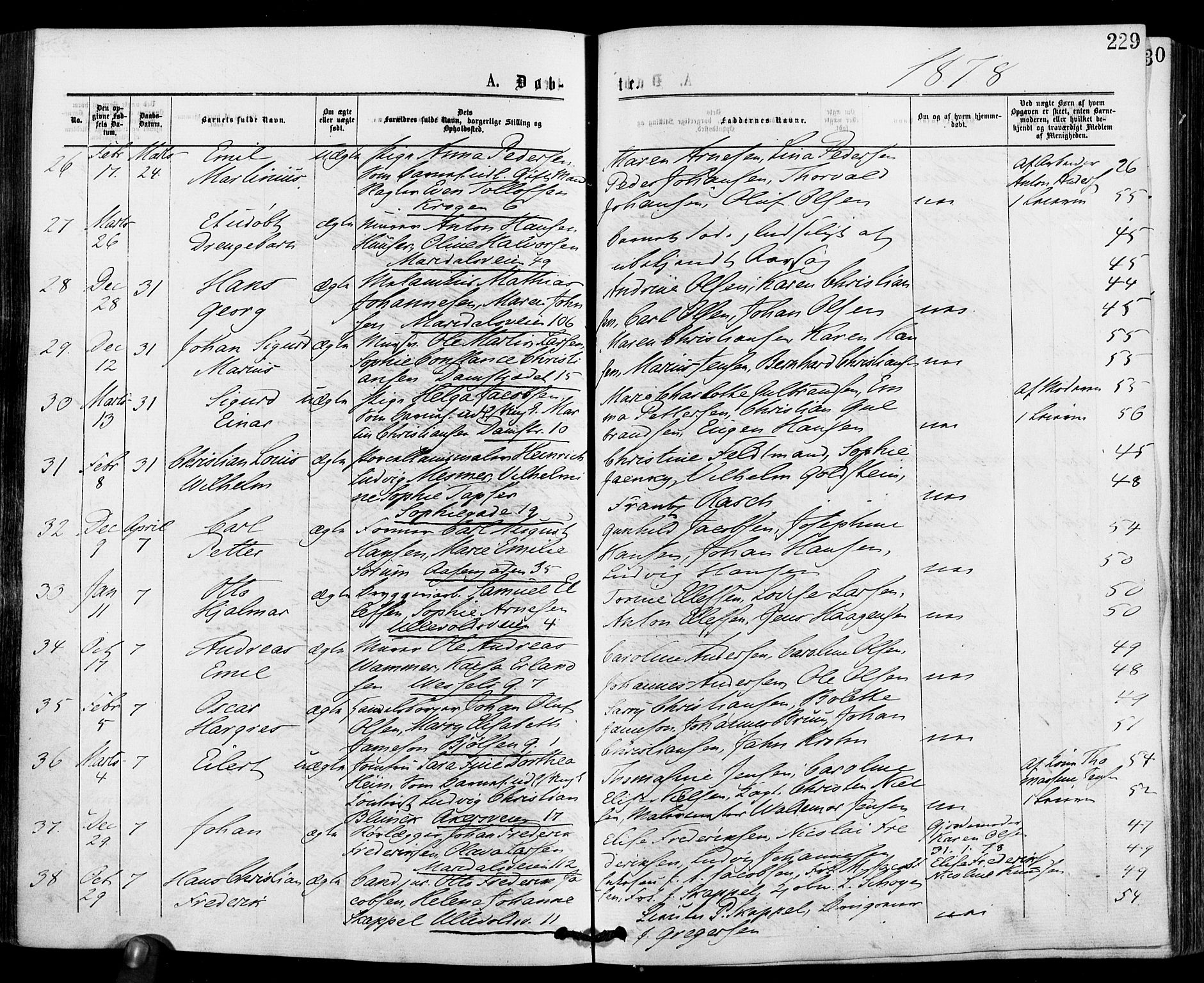 Gamle Aker prestekontor Kirkebøker, AV/SAO-A-10617a/F/L0004: Parish register (official) no. 4, 1872-1879, p. 229