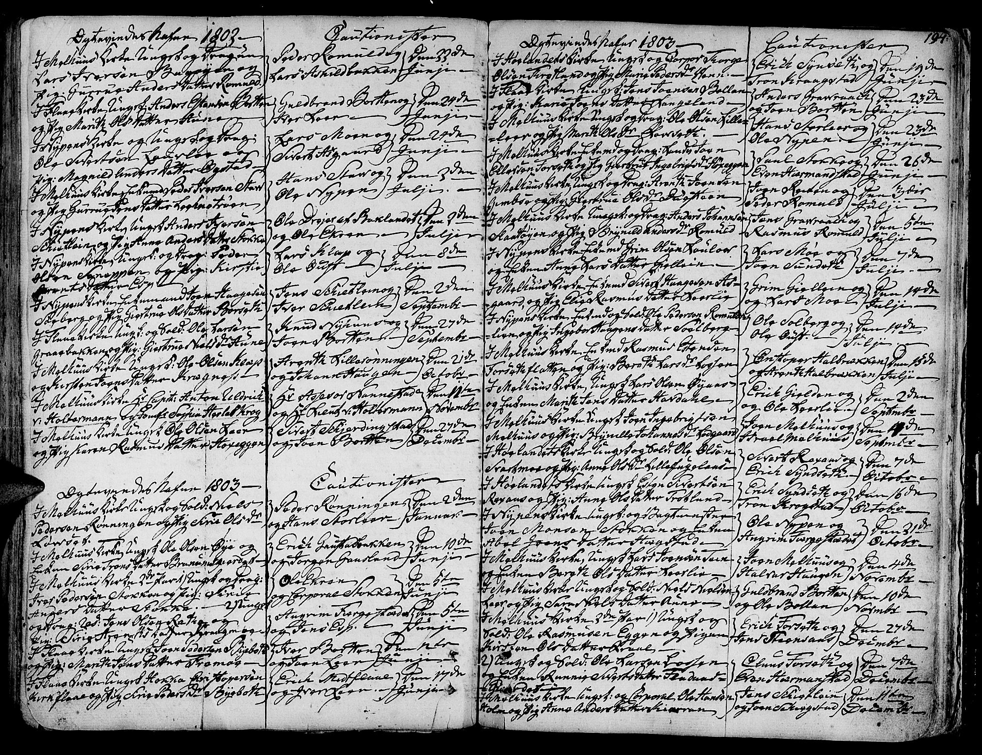 Ministerialprotokoller, klokkerbøker og fødselsregistre - Sør-Trøndelag, SAT/A-1456/691/L1061: Parish register (official) no. 691A02 /1, 1768-1815, p. 194