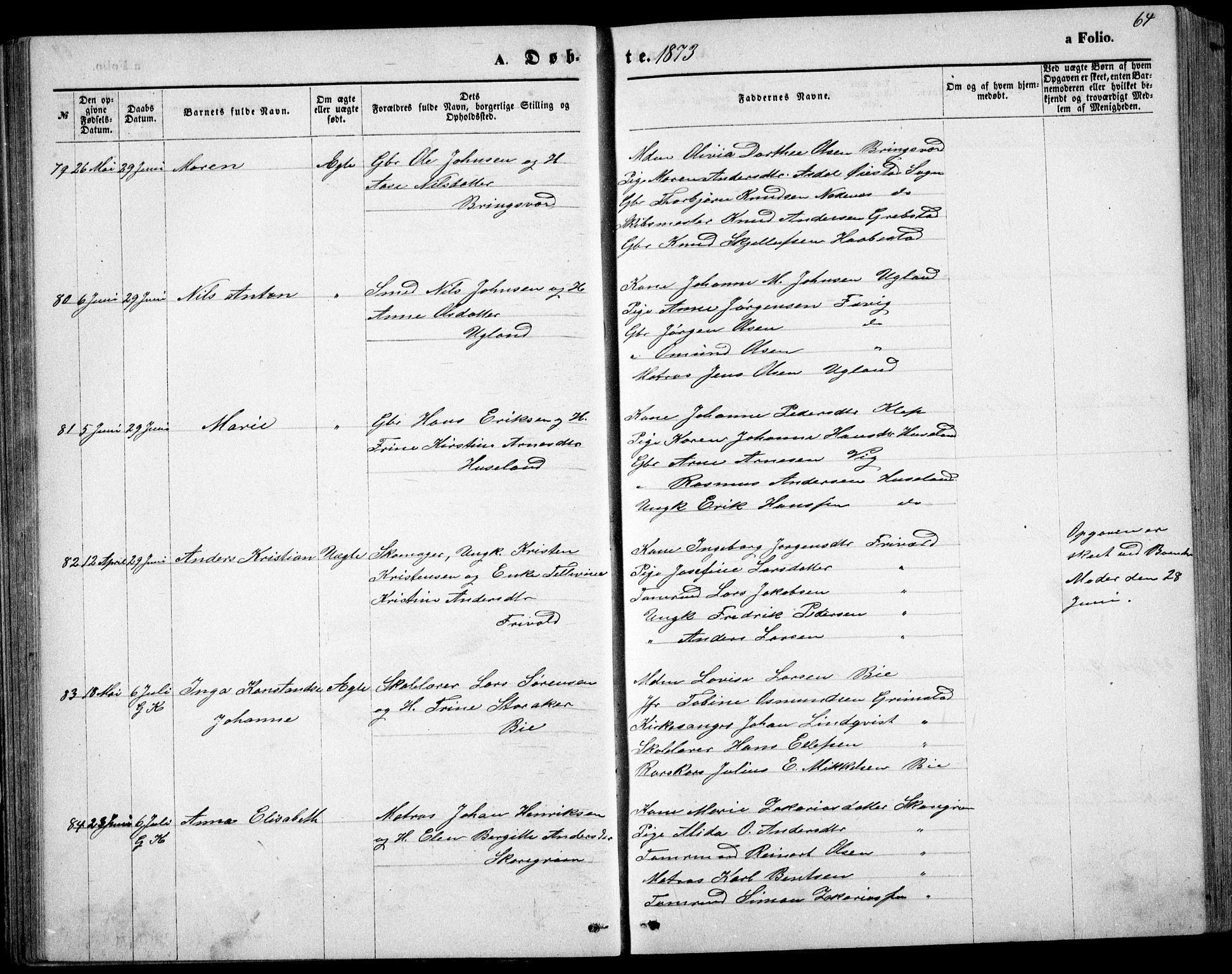 Fjære sokneprestkontor, AV/SAK-1111-0011/F/Fb/L0010: Parish register (copy) no. B 10, 1871-1880, p. 64