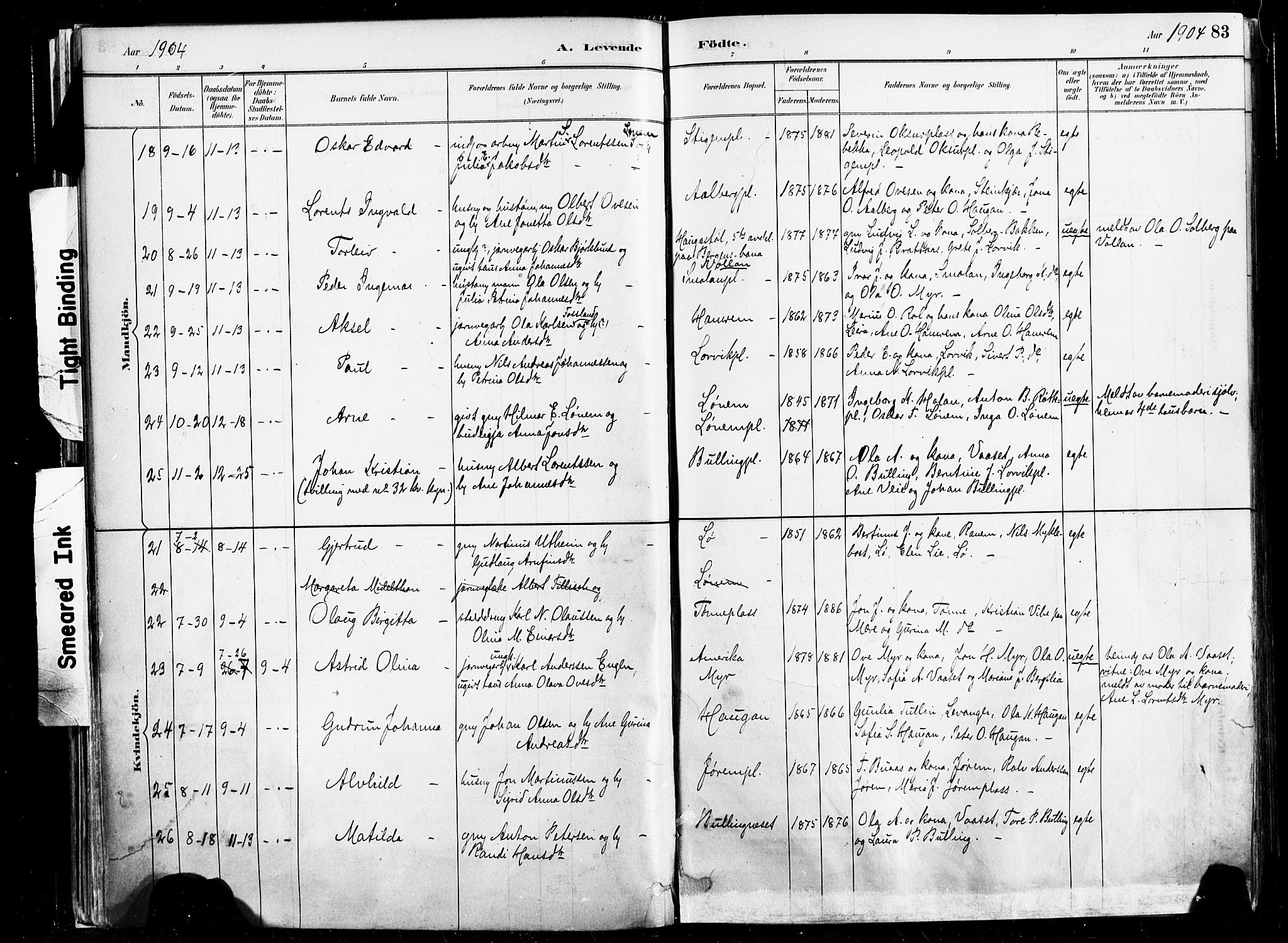 Ministerialprotokoller, klokkerbøker og fødselsregistre - Nord-Trøndelag, AV/SAT-A-1458/735/L0351: Parish register (official) no. 735A10, 1884-1908, p. 83